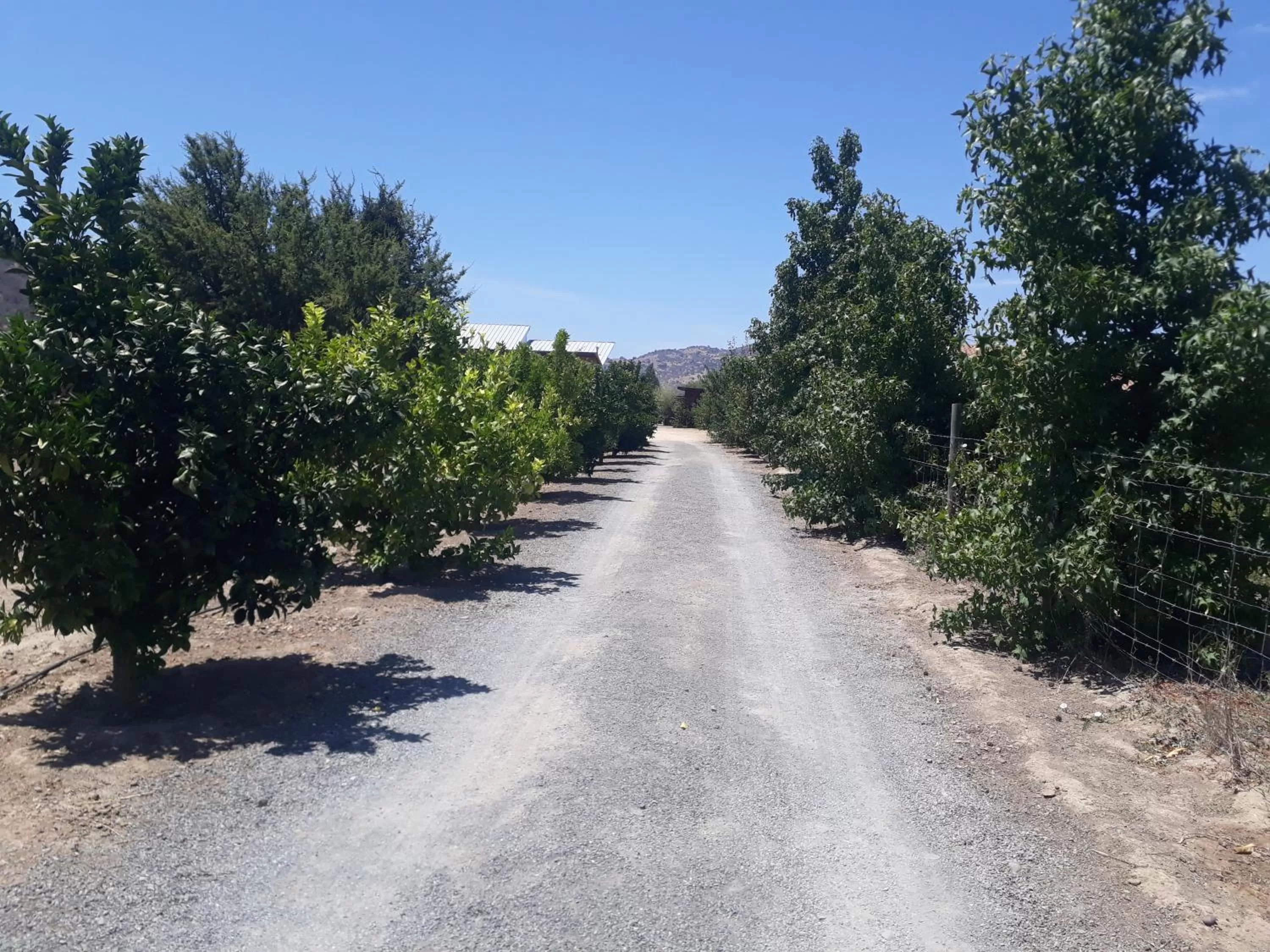 Lobby or reception in Callihue Lodge