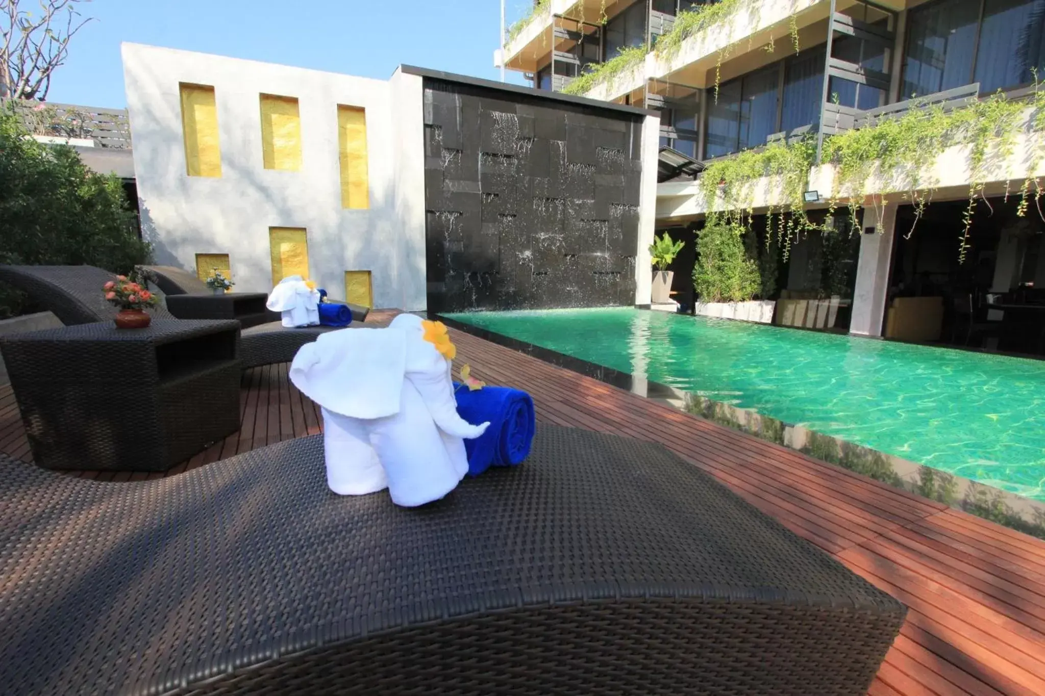 Swimming Pool in Hotel M Chiang Mai