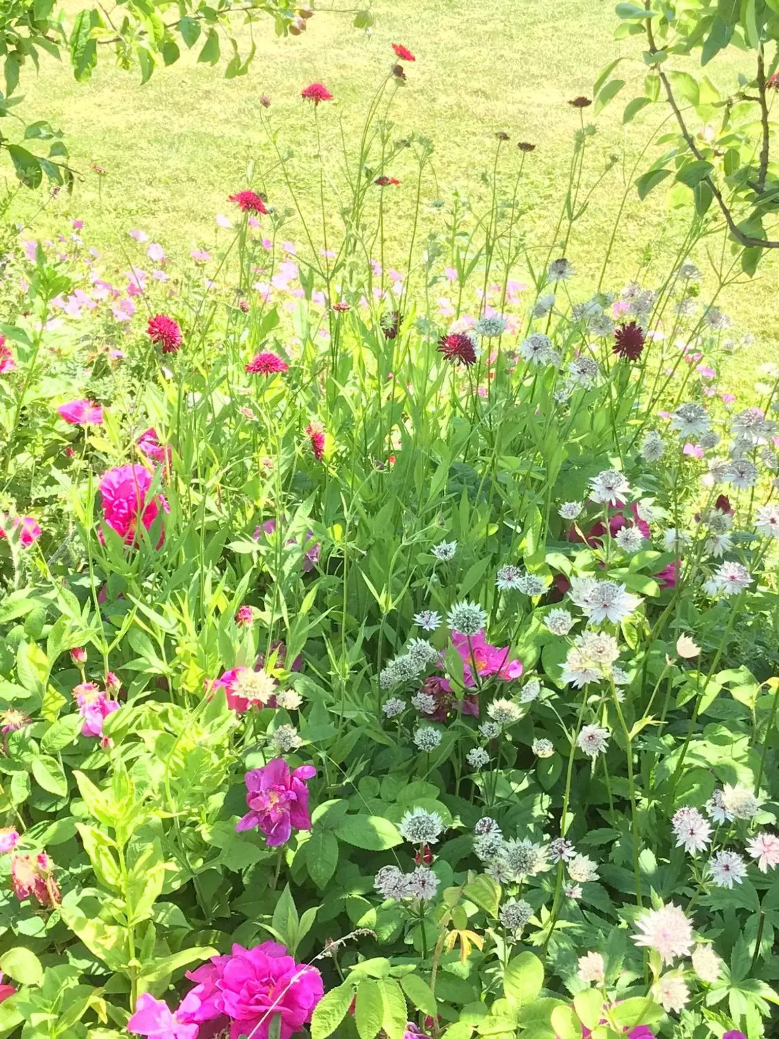 Property building, Garden in Beryl Country House