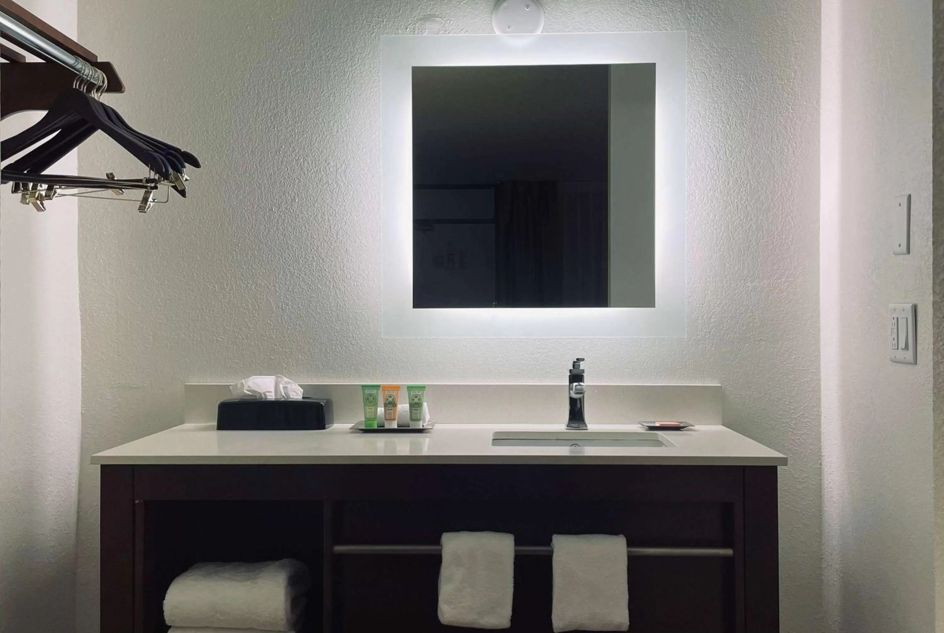 TV and multimedia in Wyndham Garden Detroit Metro Airport