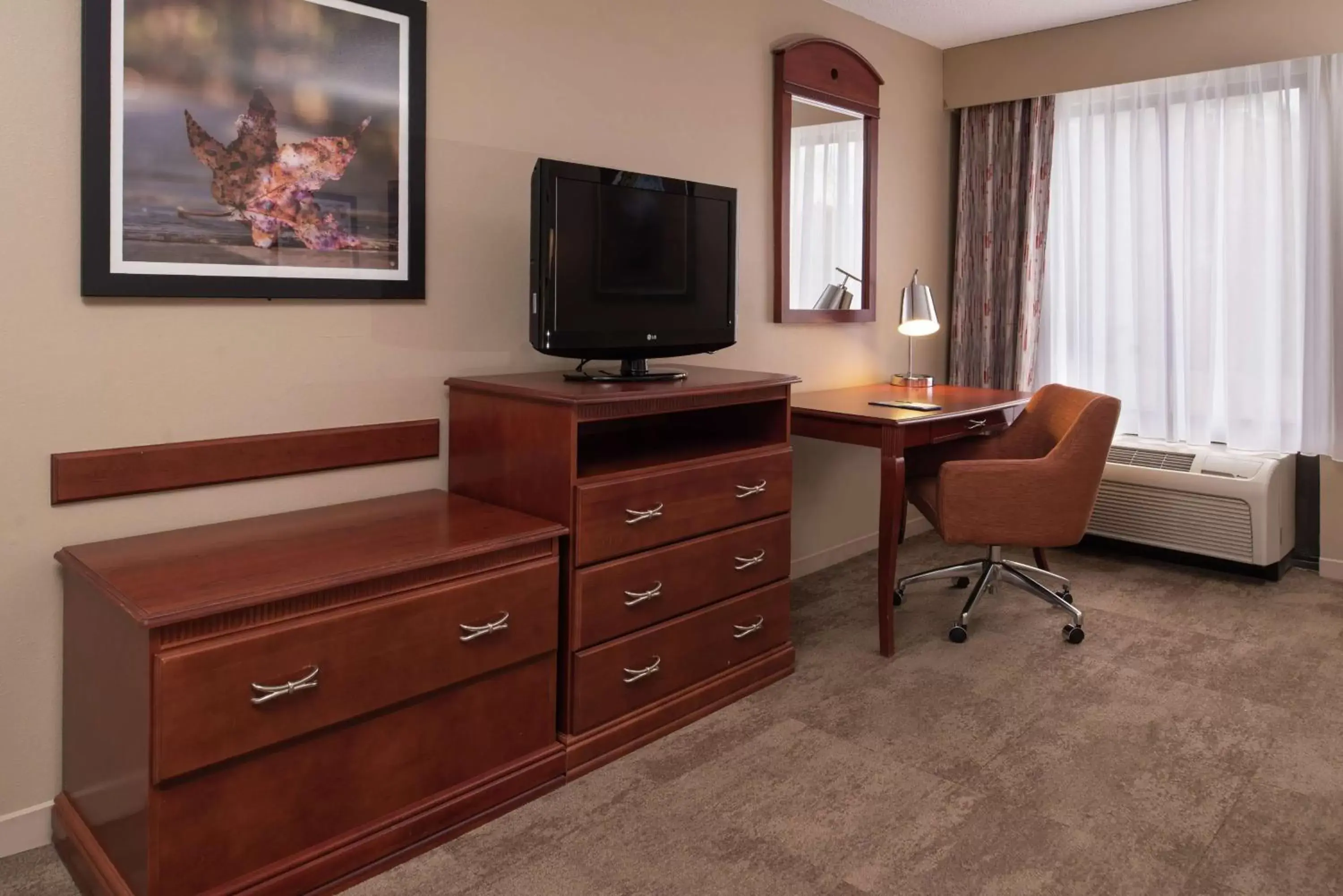 Bedroom, TV/Entertainment Center in Hampton Inn Columbia Northeast-Fort Jackson Area