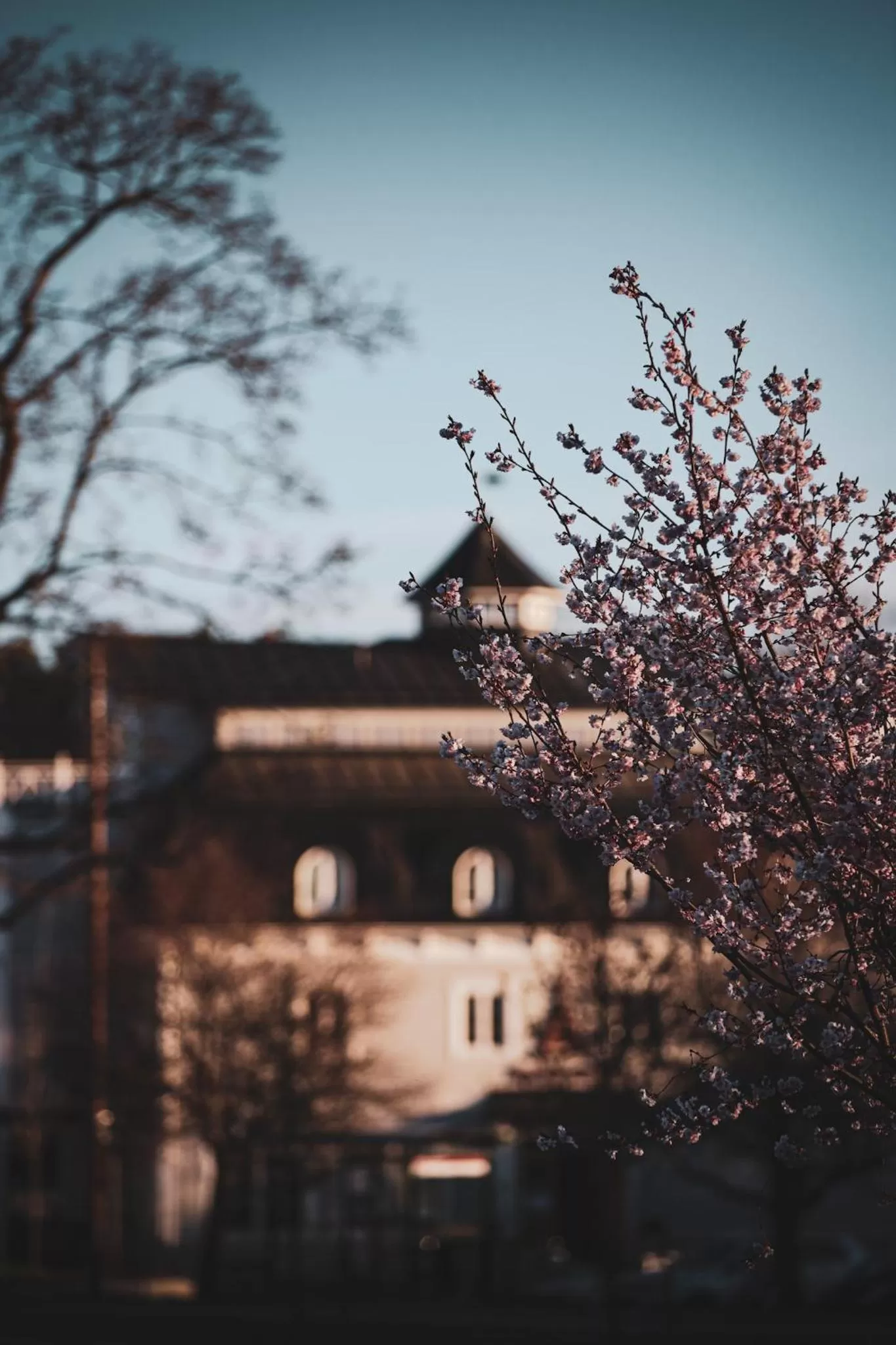 Property building in Åtellet Hotell