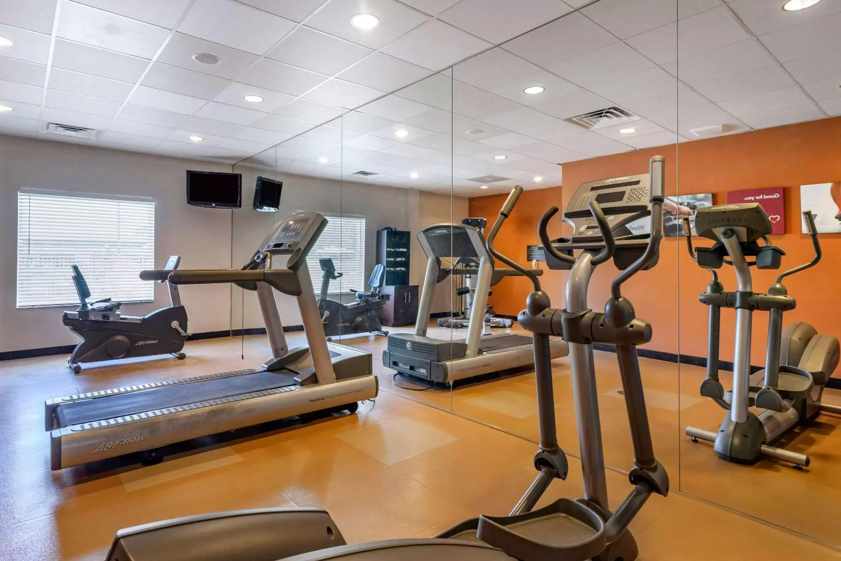 Activities, Fitness Center/Facilities in Comfort Suites Tampa Fairgrounds - Casino