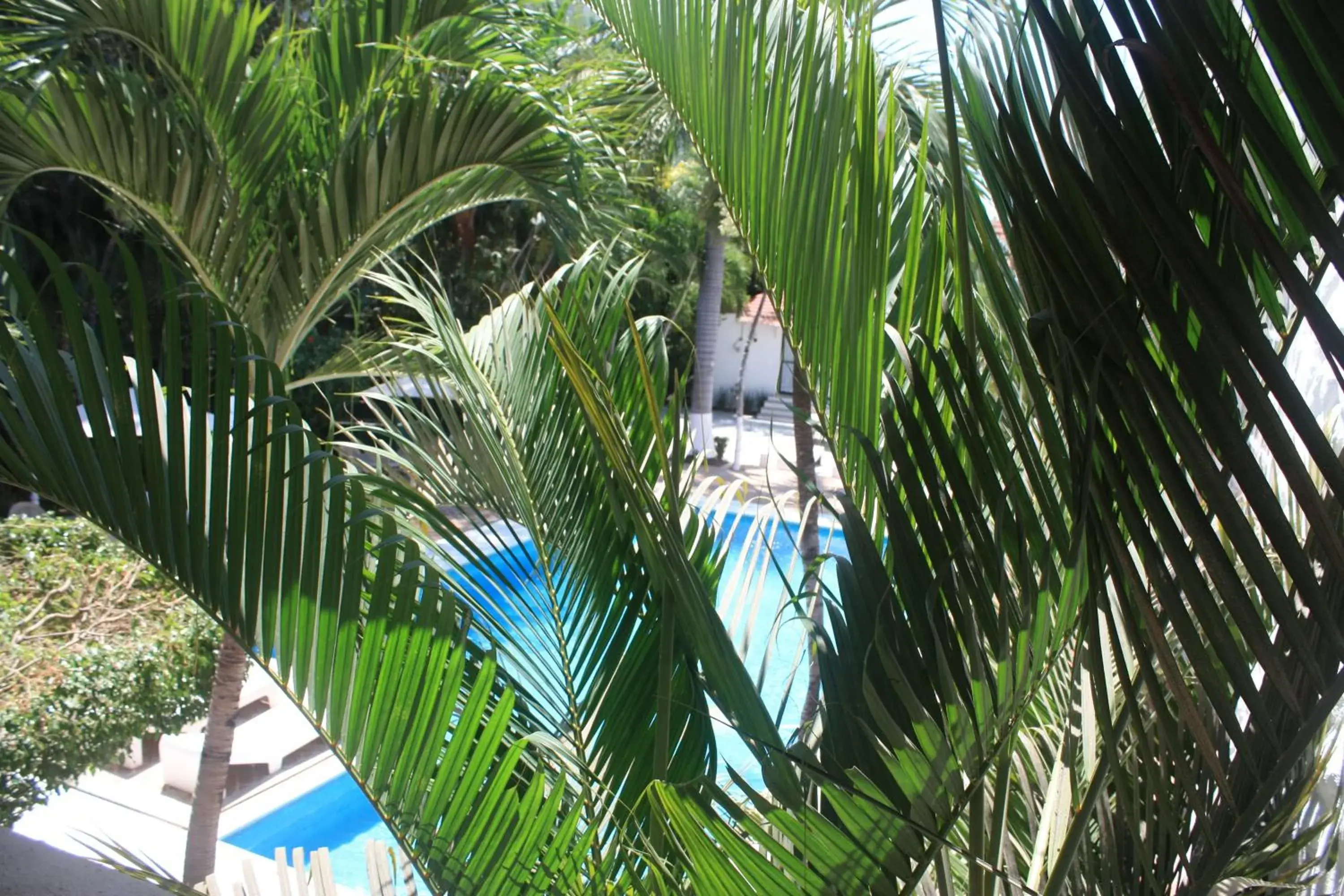 Pool View in Hotel Olinalá Diamante