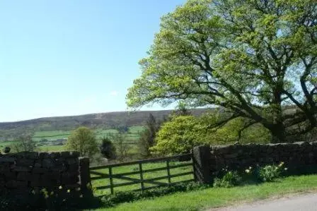 Day in Beansheaf Hotel