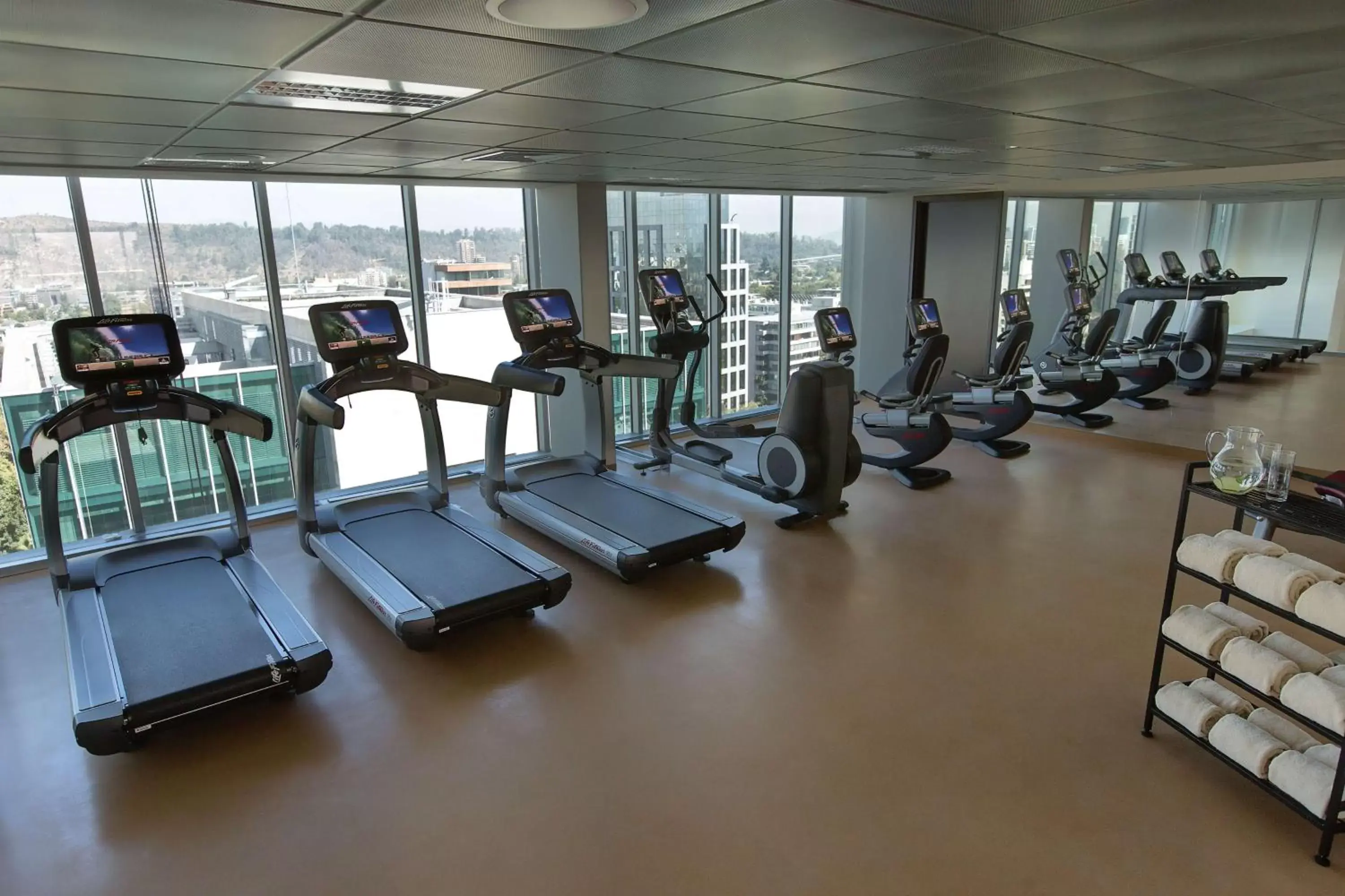 Fitness centre/facilities in Hyatt Place Santiago/Vitacura