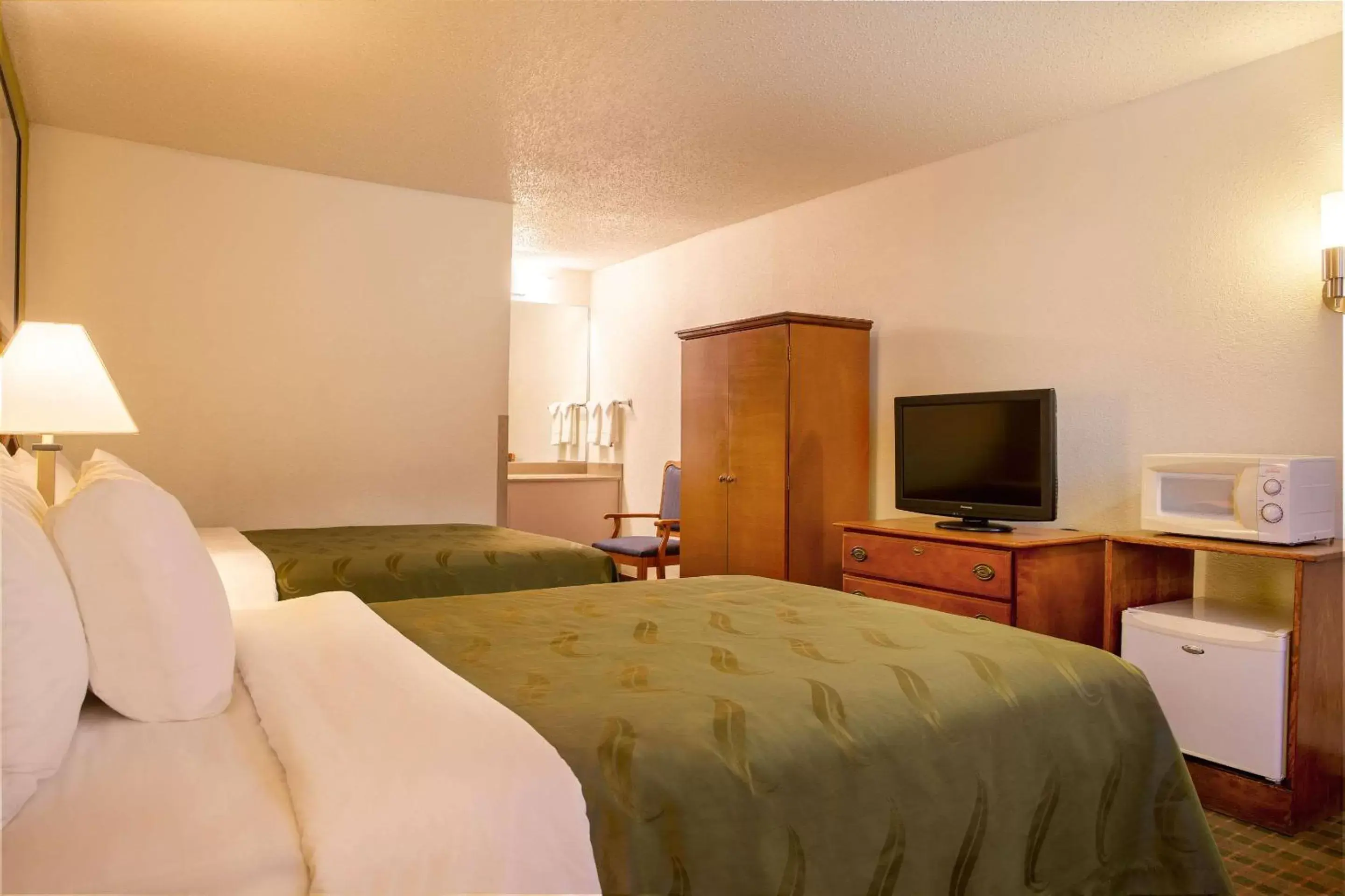 Photo of the whole room, Room Photo in Quality Inn at Arlington Highlands
