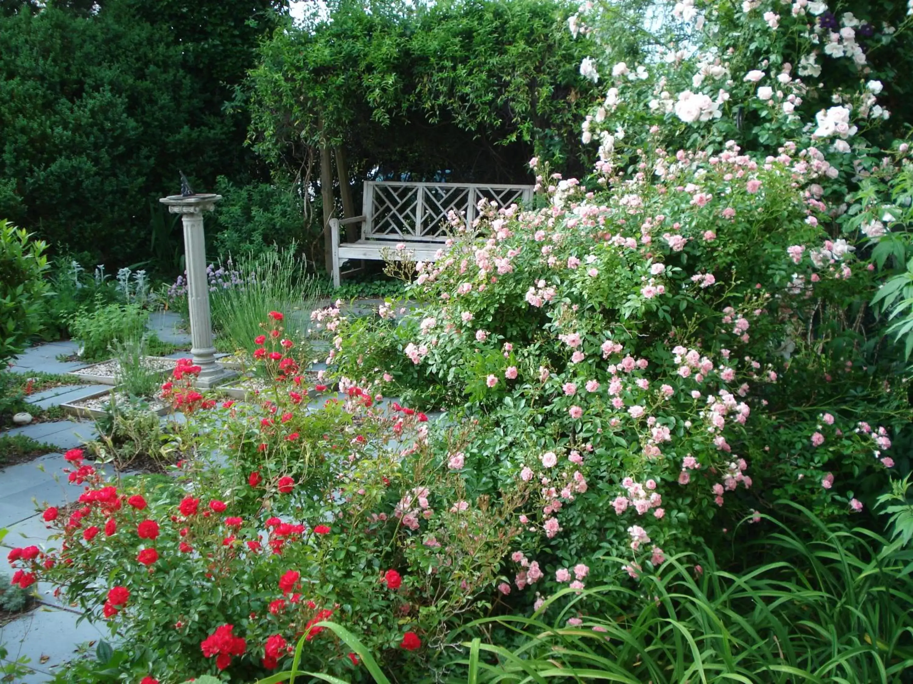 Property building, Garden in Newport House Bed & Breakfast