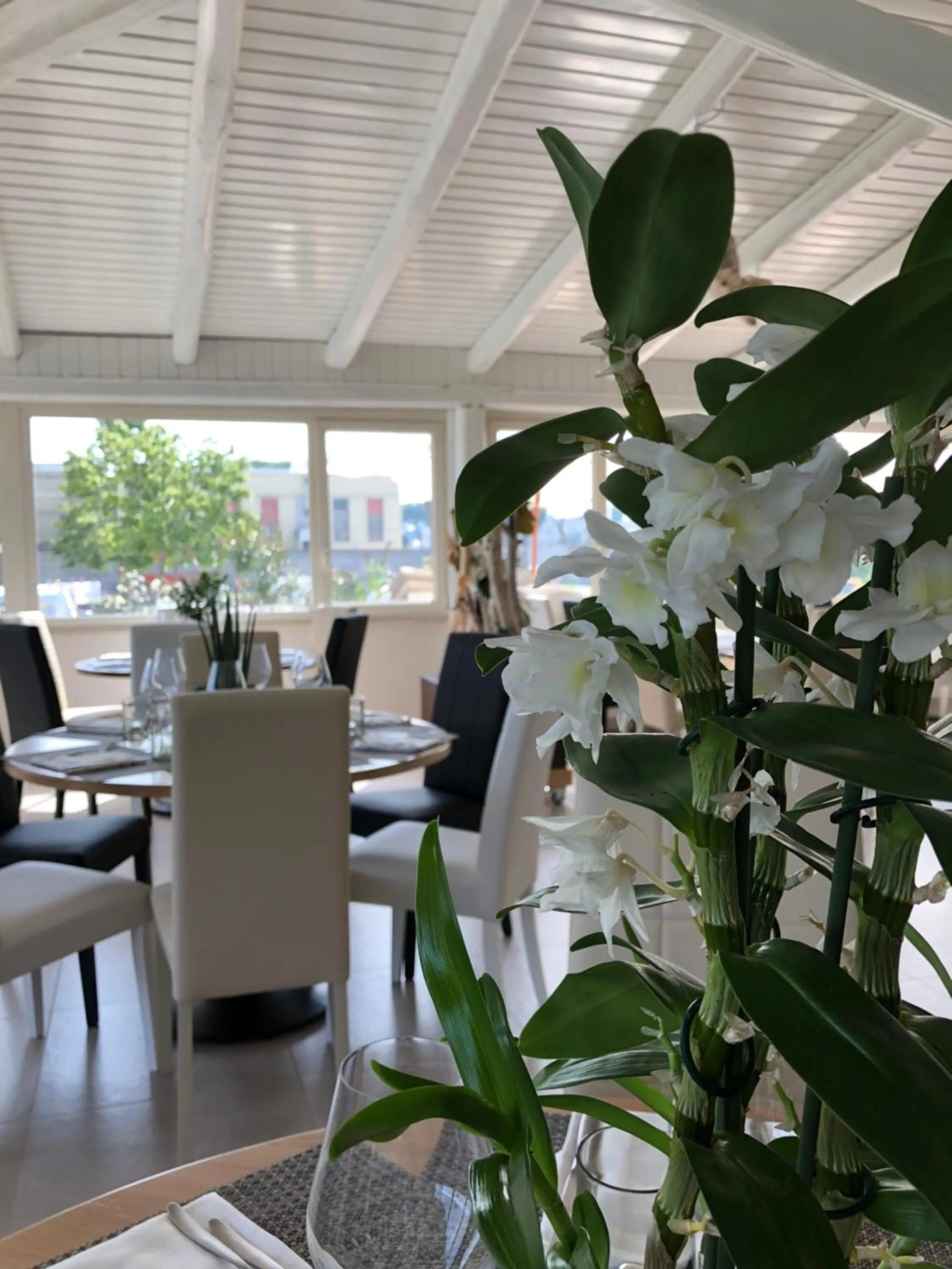 Restaurant/places to eat in Love & Fama Hotel