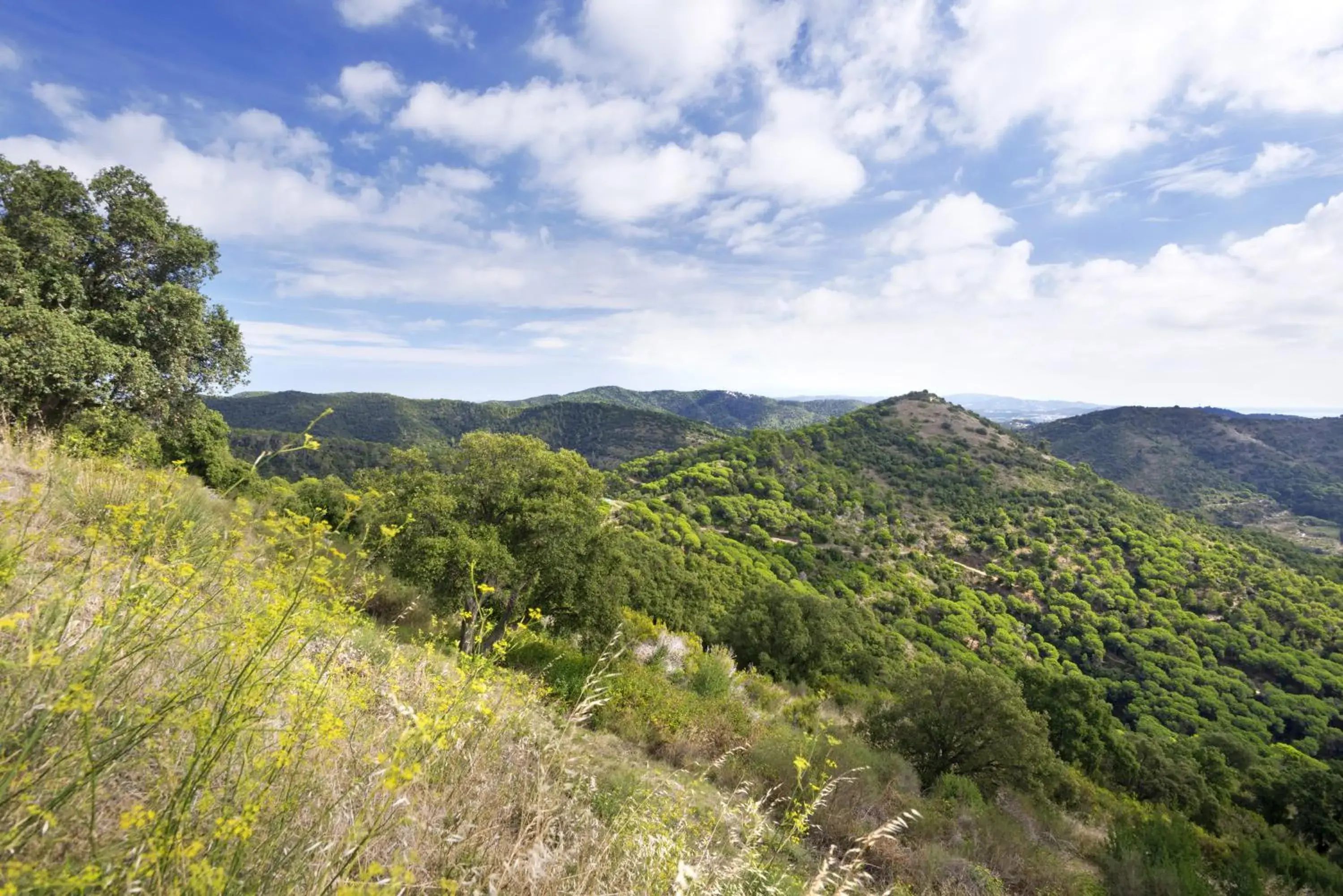 Horse-riding, Natural Landscape in Mercè