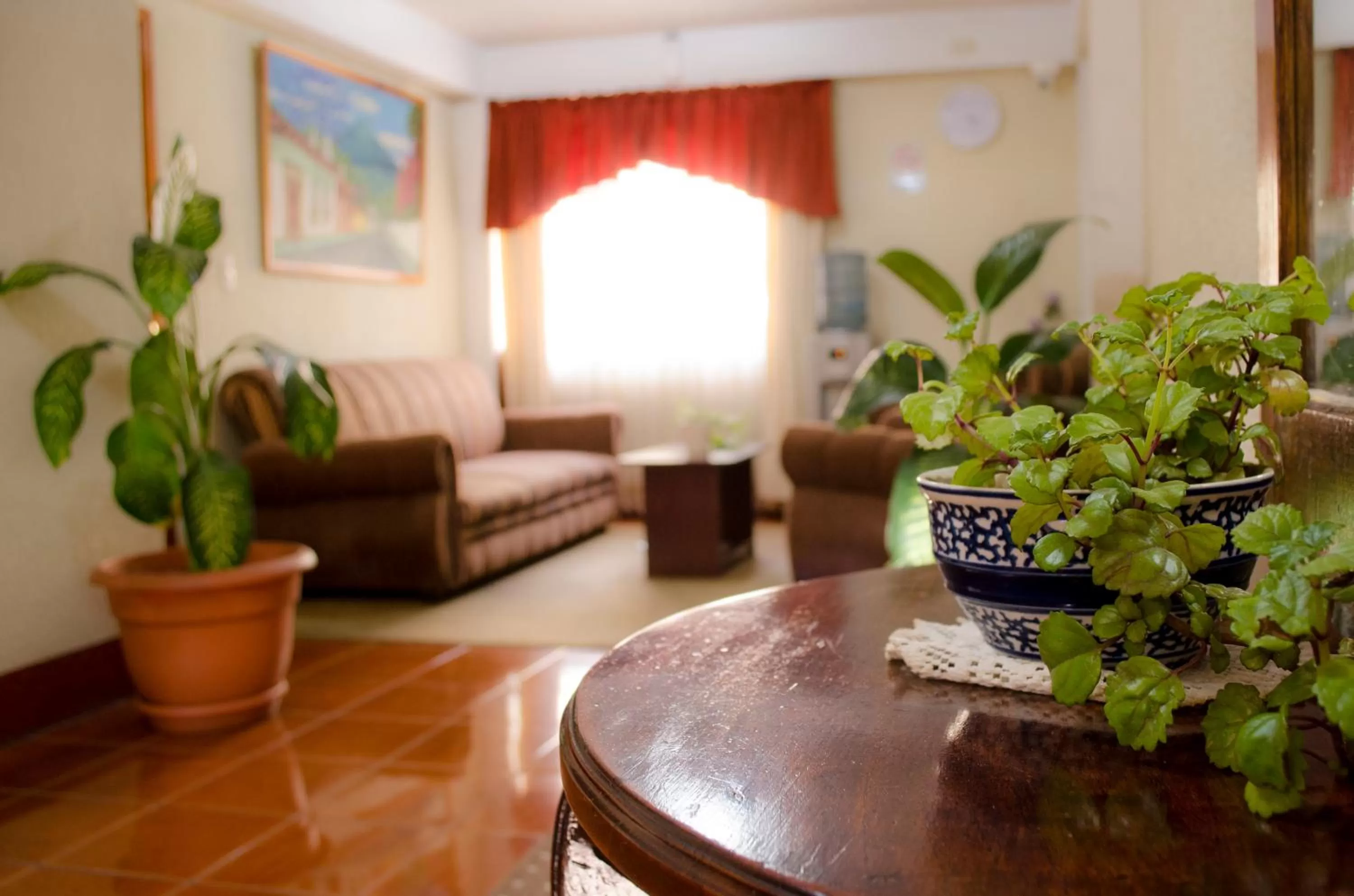 Area and facilities in Hotel Las Americas