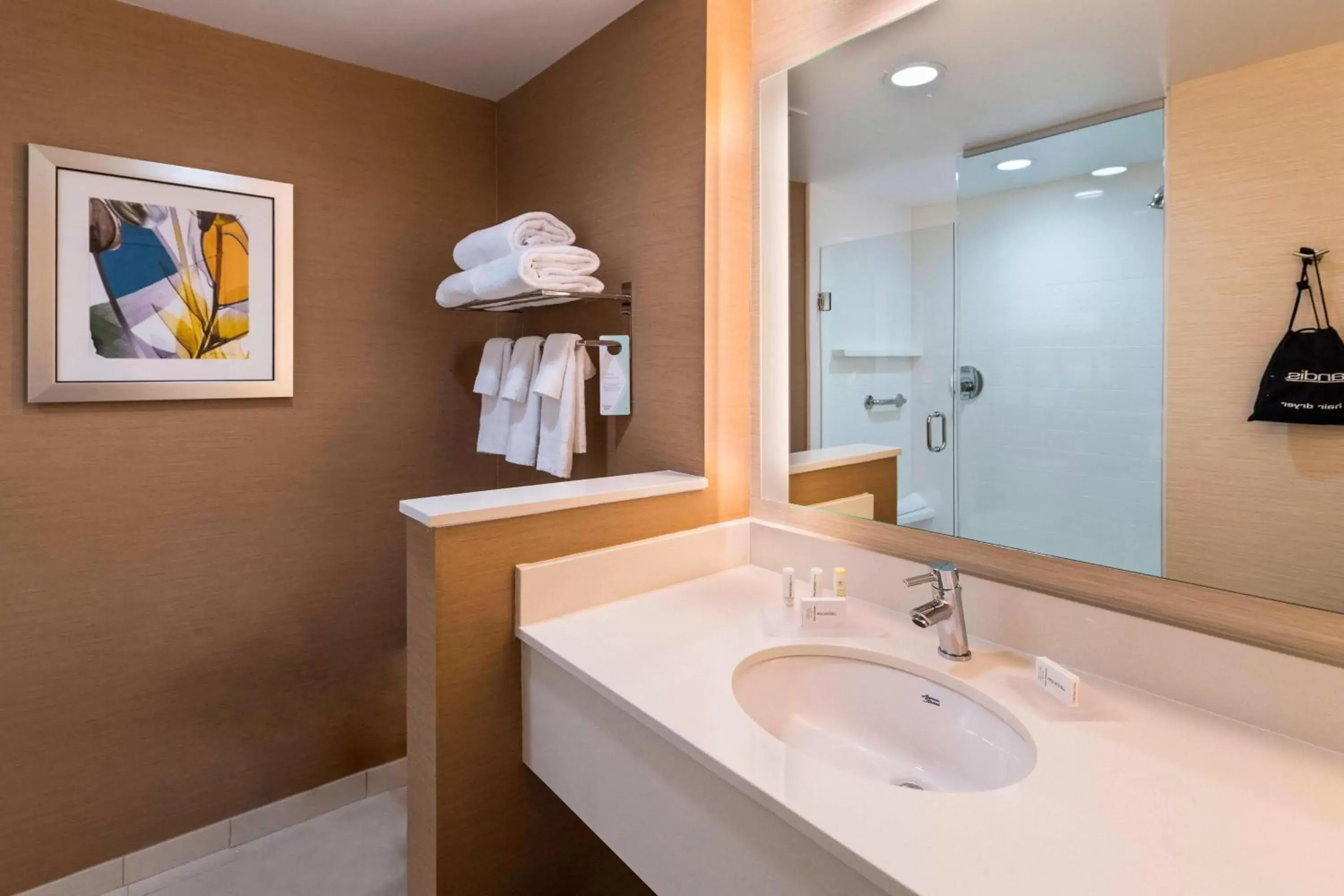 Bathroom in Fairfield Inn & Suites by Marriott Dallas Waxahachie