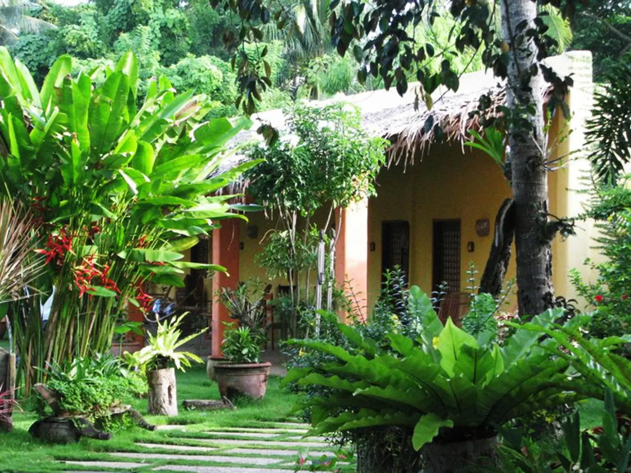 Patio, Property Building in Hibiscus Garden Inn