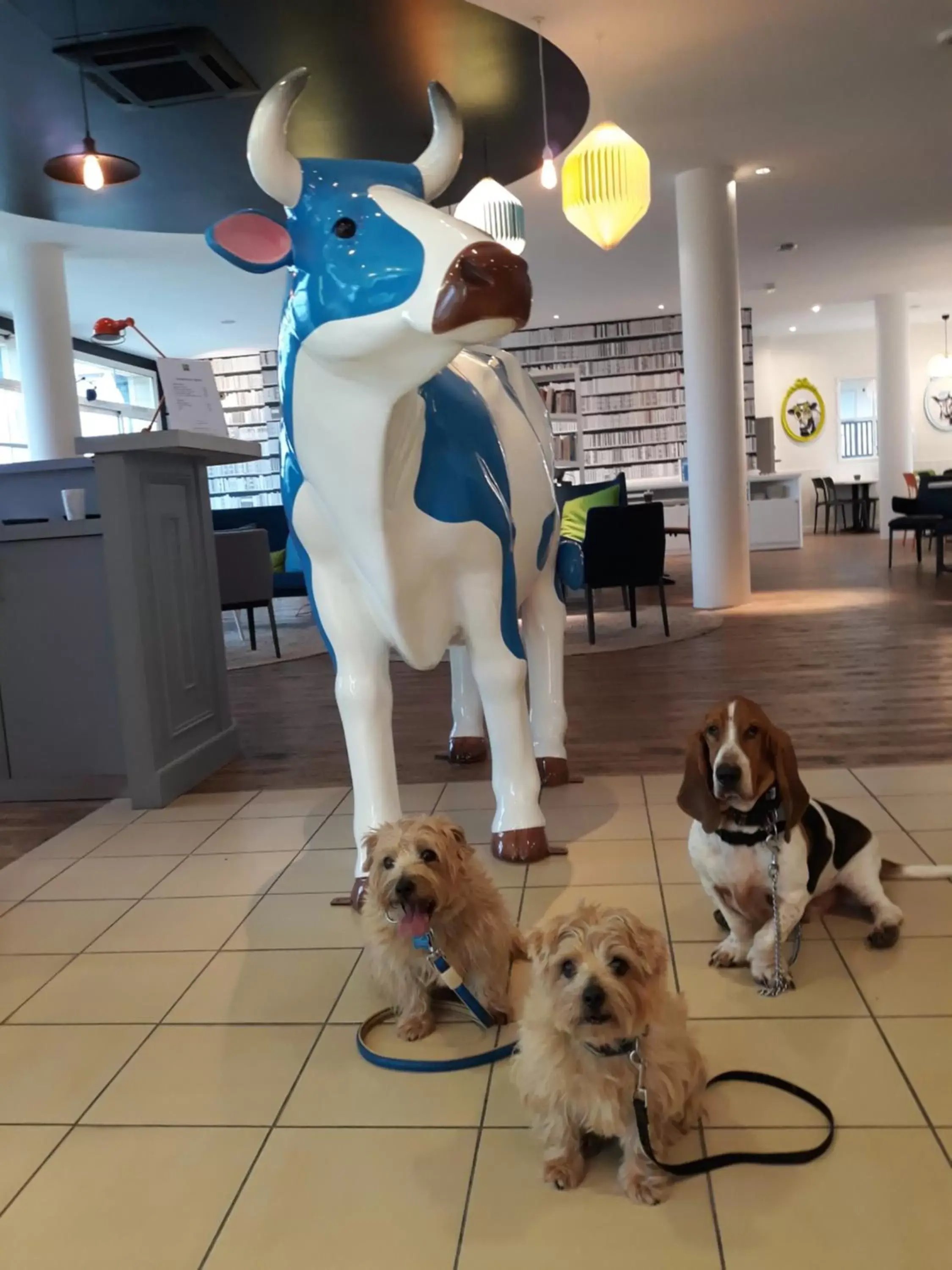 Lobby or reception, Pets in ibis Styles Deauville Villers Plage