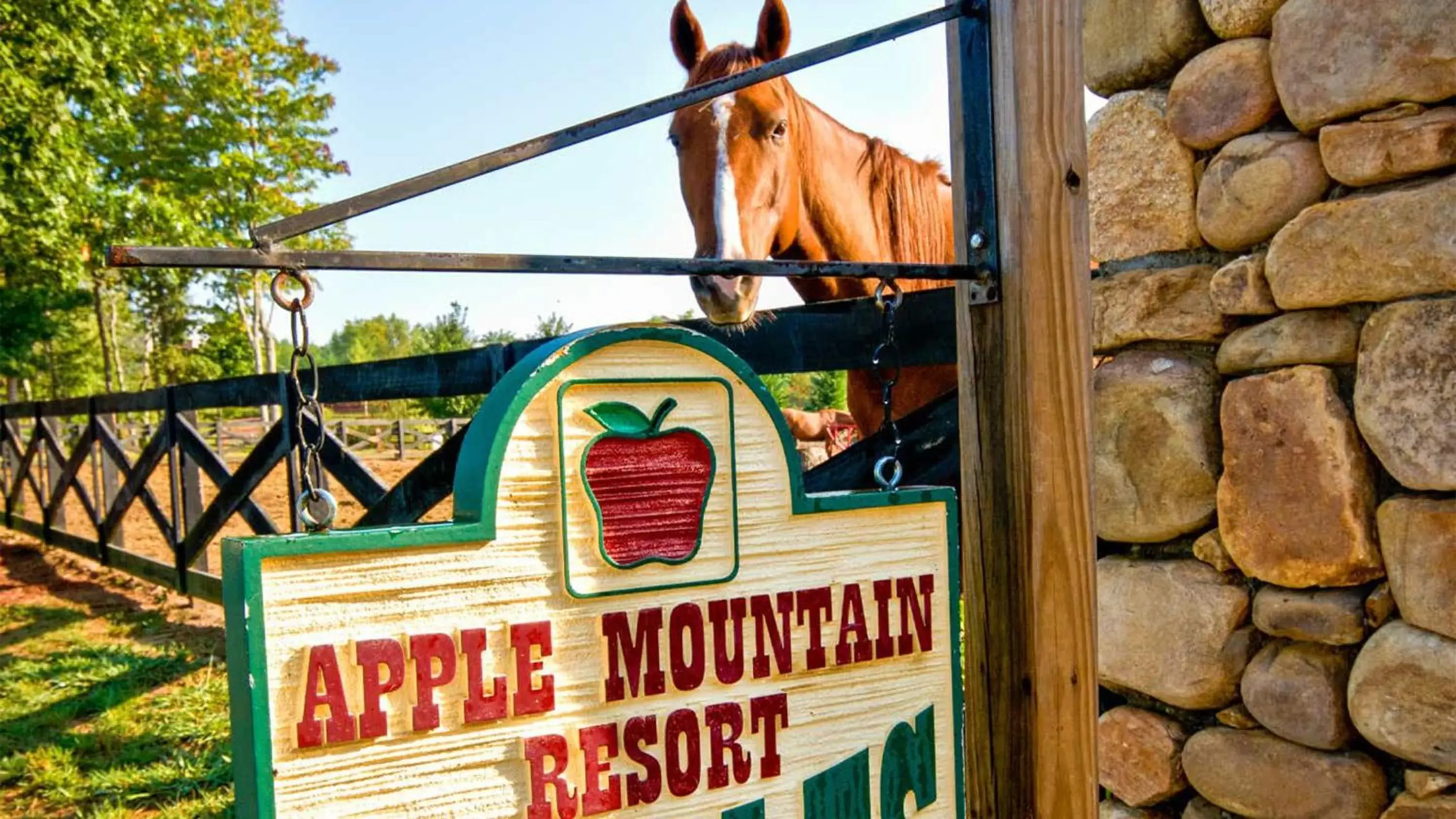 Fitness centre/facilities in Holiday Inn Club Vacations Apple Mountain Resort at Clarkesville