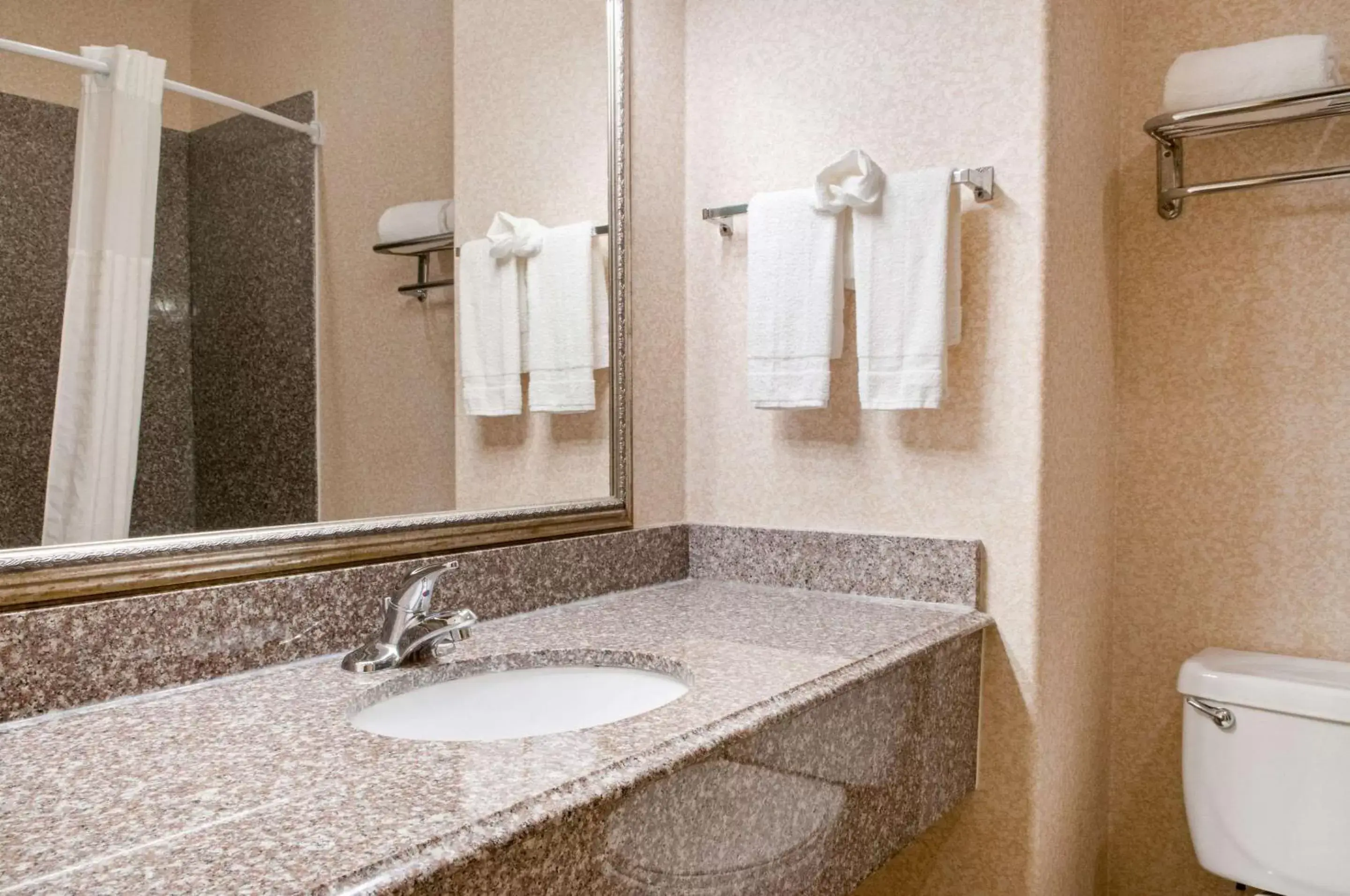 Bathroom in Quality Inn & Suites Houma