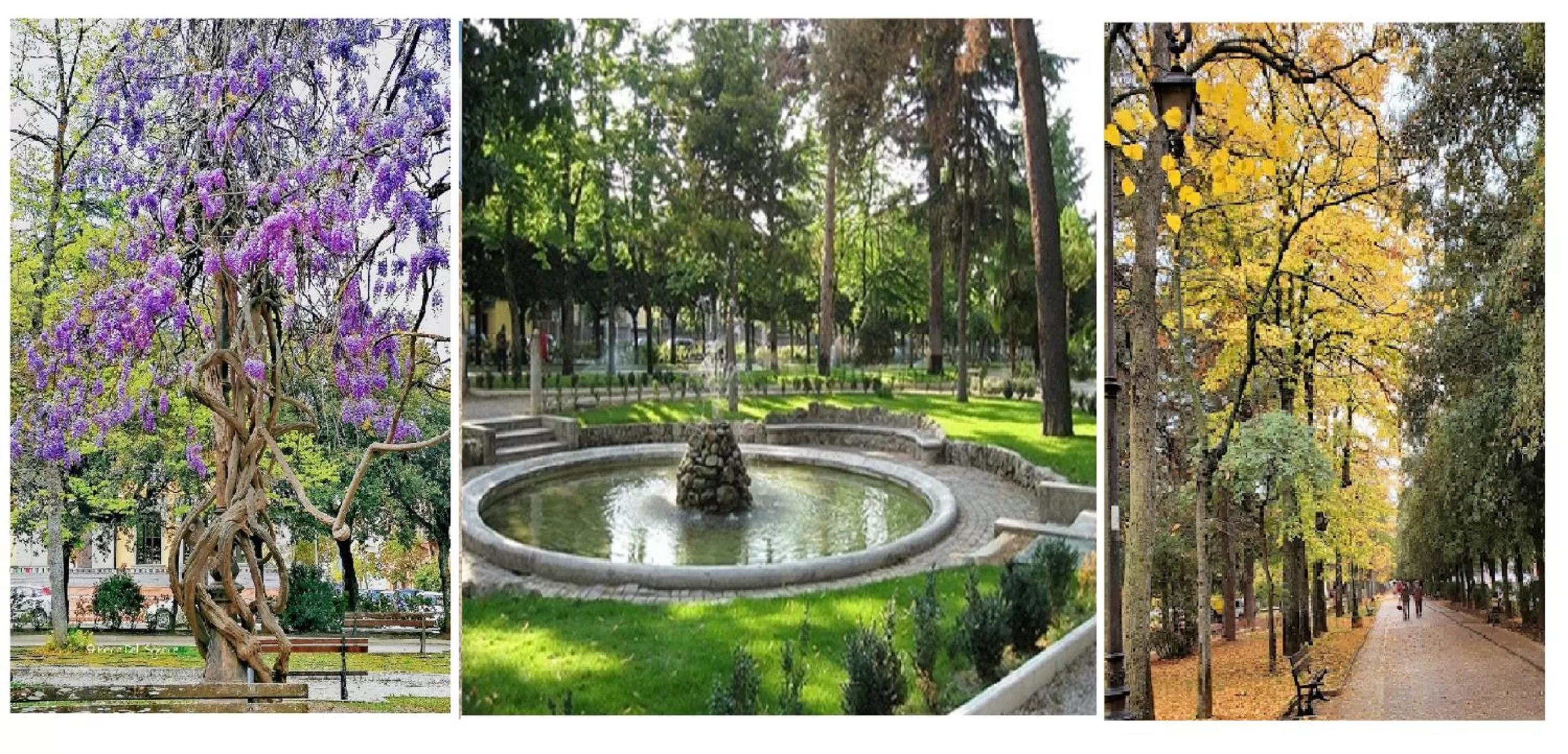 Neighbourhood in B&B Residence Armonia Sulmona