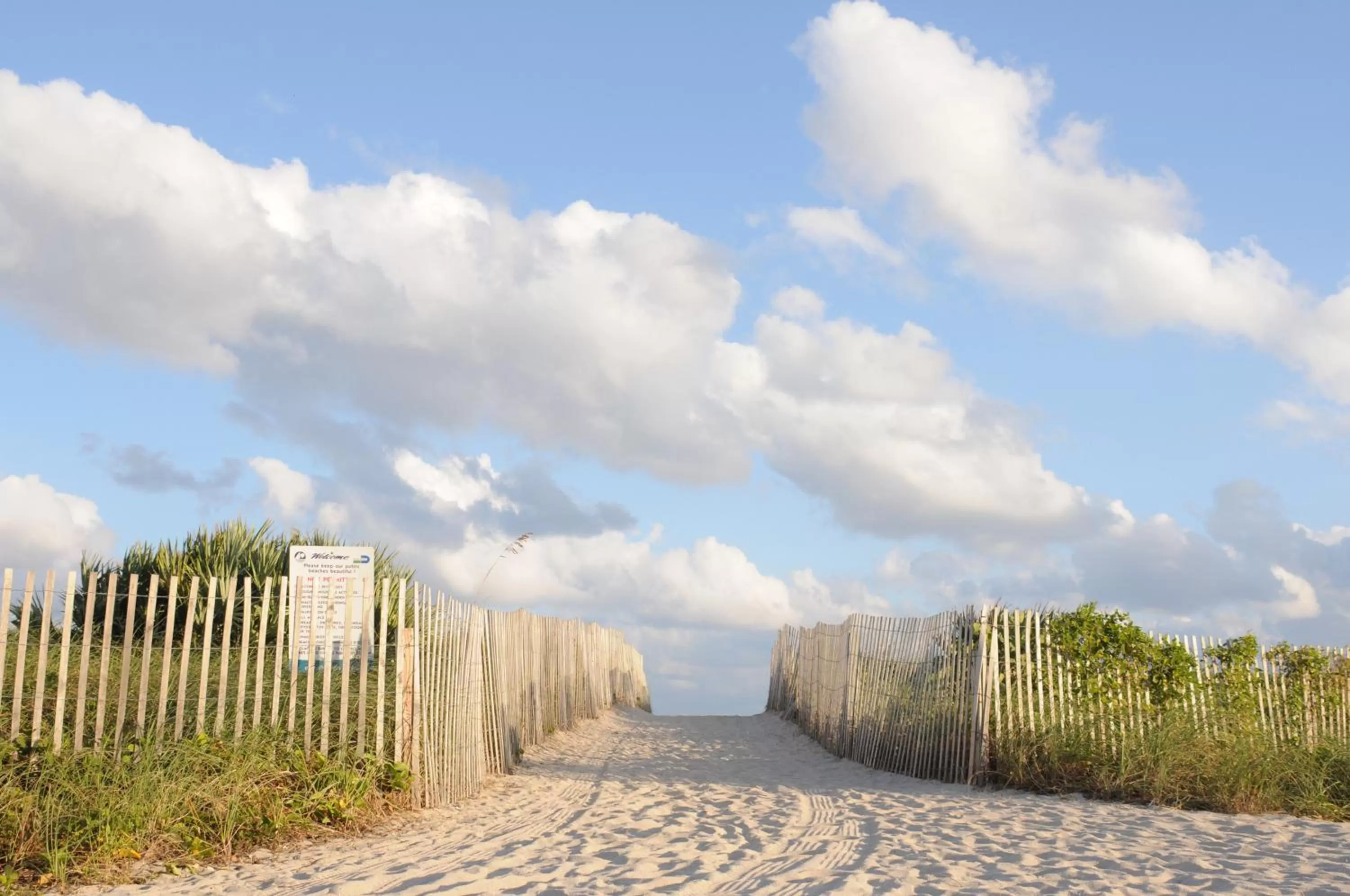 Beach in Clevelander Hotel