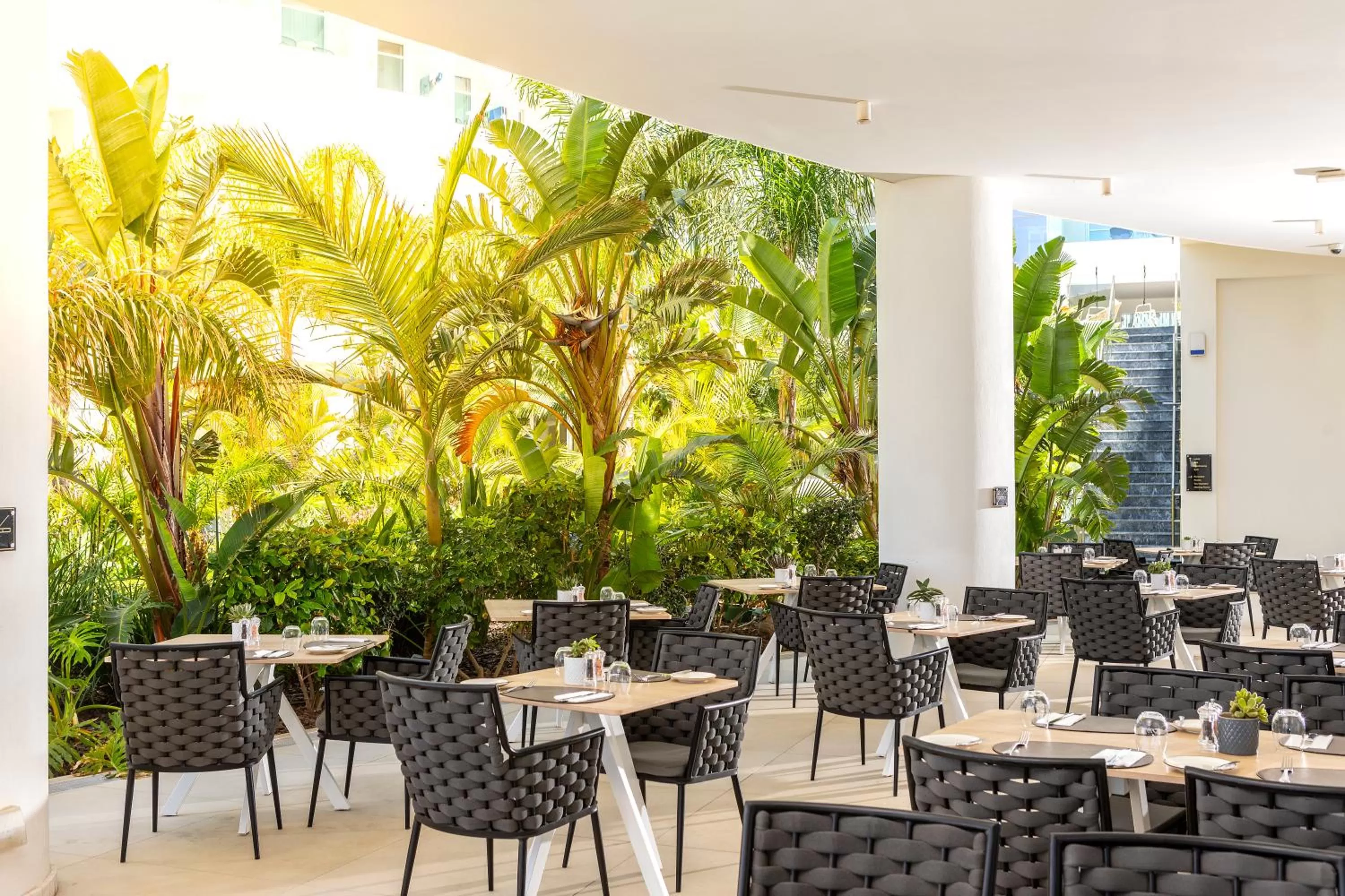 Restaurant/places to eat in NissiBlu Beach Resort