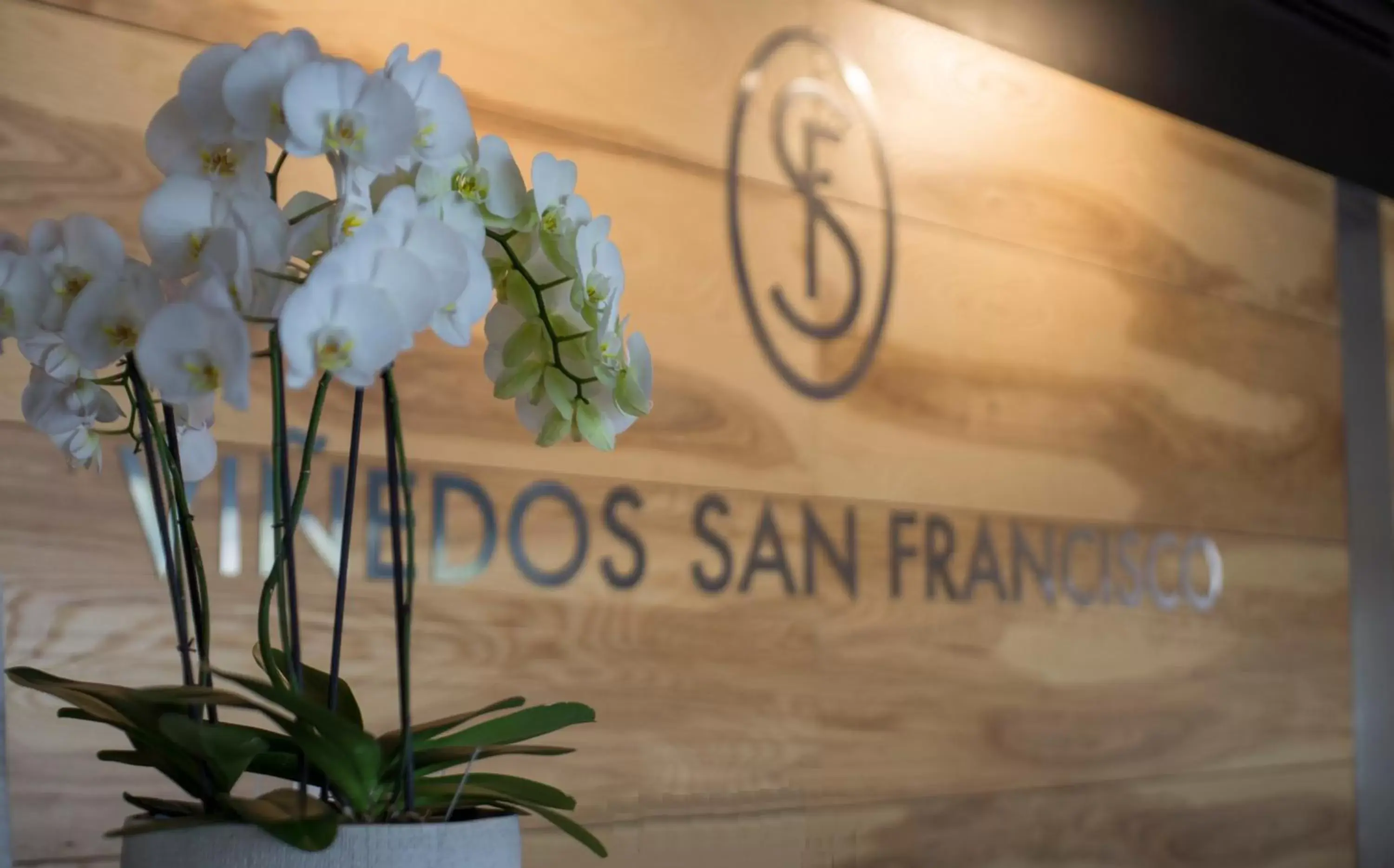 Lobby or reception, Property Logo/Sign in Viñedos San Francisco