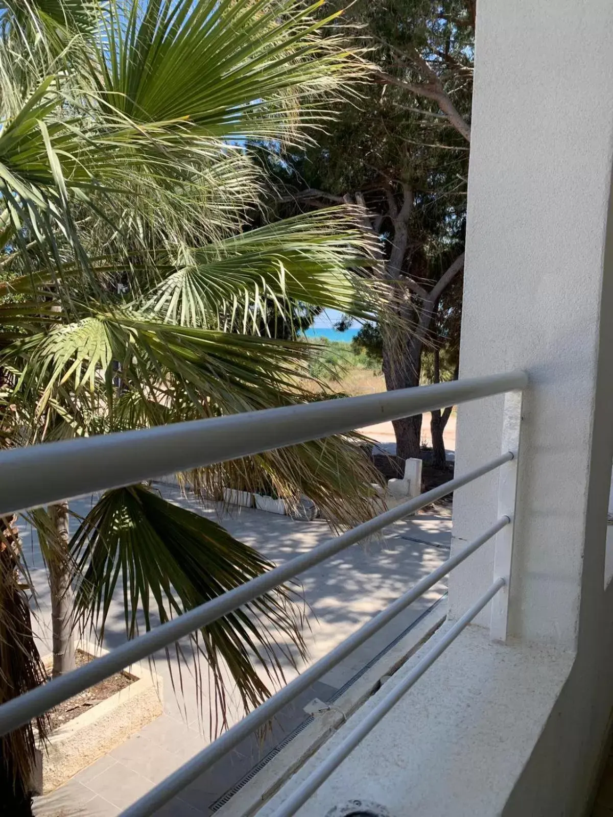 Property building, Balcony/Terrace in B&B Giostemar - Playa Grande