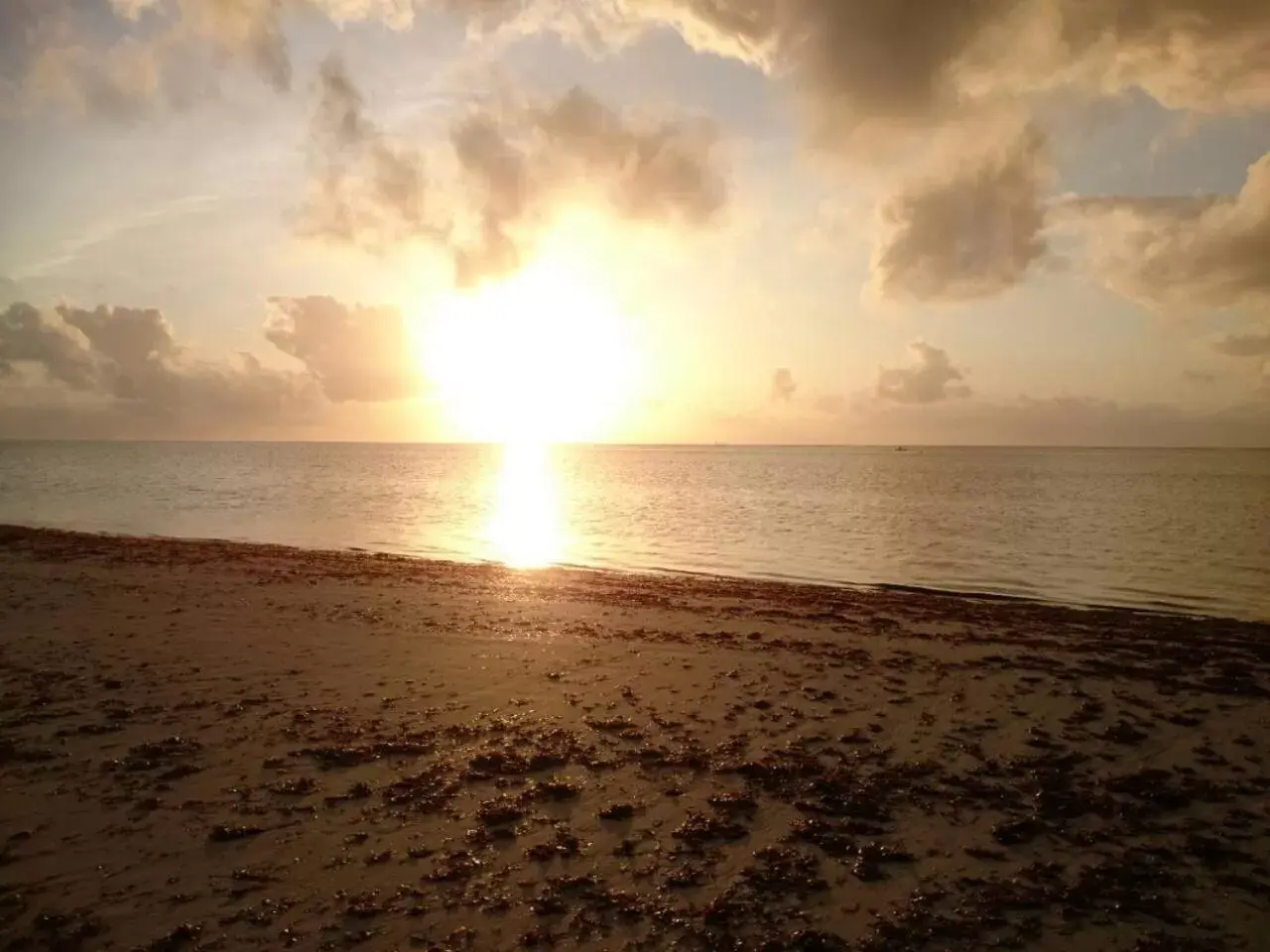 Beach in Reef Hotel Mombasa