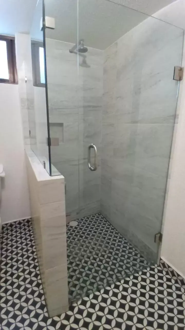 Bathroom in Hotel Medrano Temáticas and Business Rooms Aguascalientes