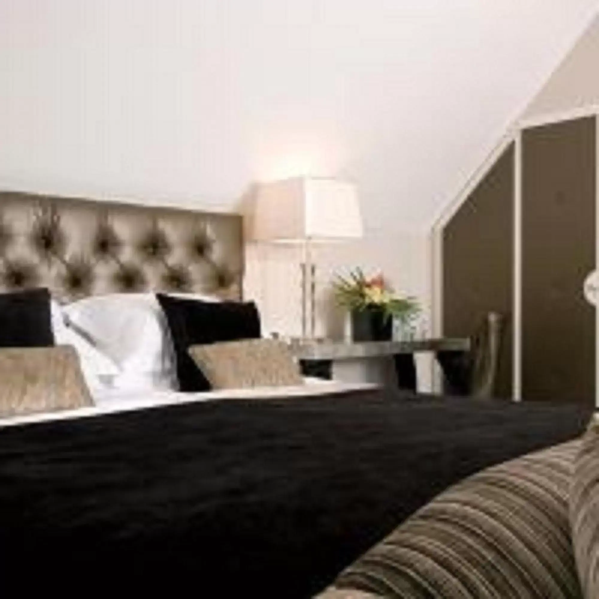 Crash Pad (Dog Friendly) in The Inn On The Green Crash Pad (Dog Friendly) in The Inn On The Green