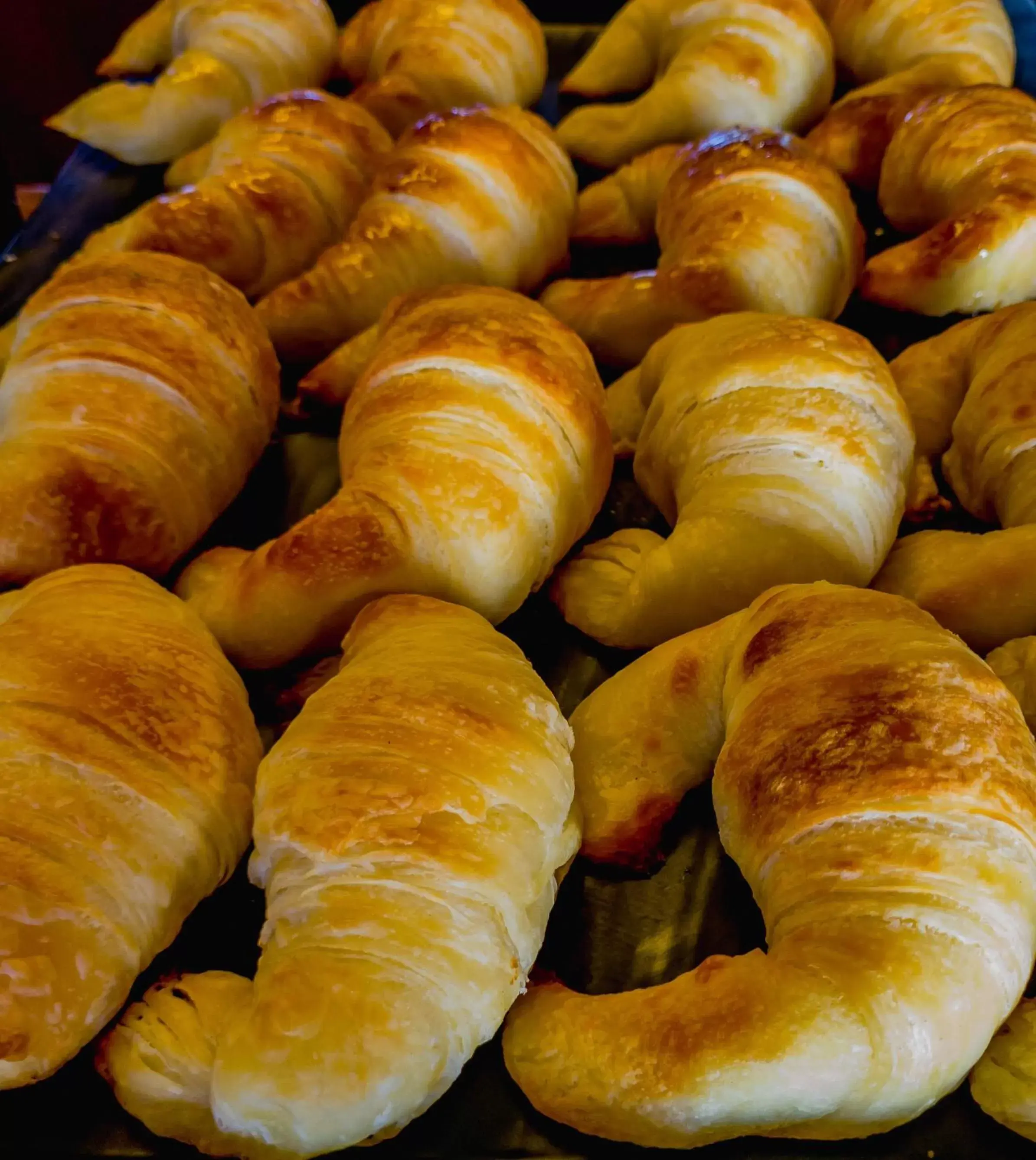 Breakfast, Food in Wyndham Garden Ushuaia Hotel del Glaciar