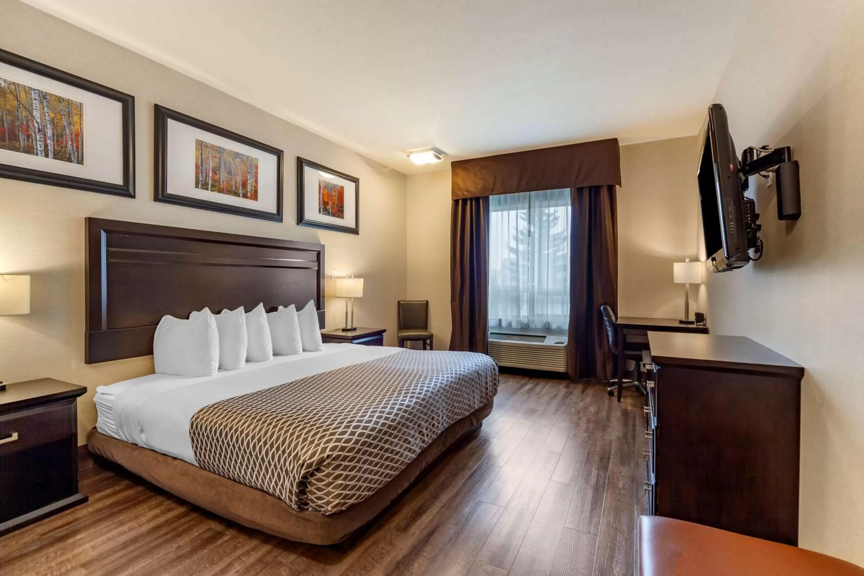 King Room with Roll-in Shower - Non-Smoking in Best Western Plus St Albert