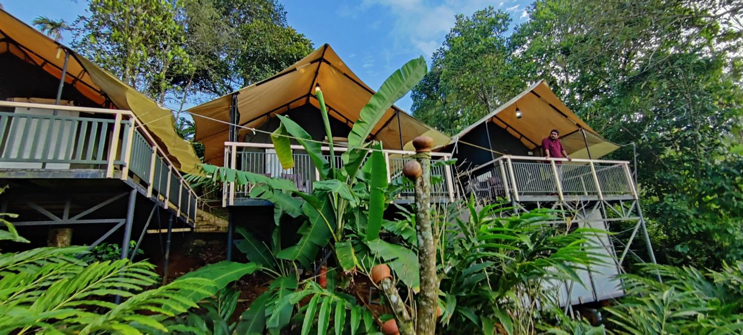 Property Building in Chalona Jungle Vibe