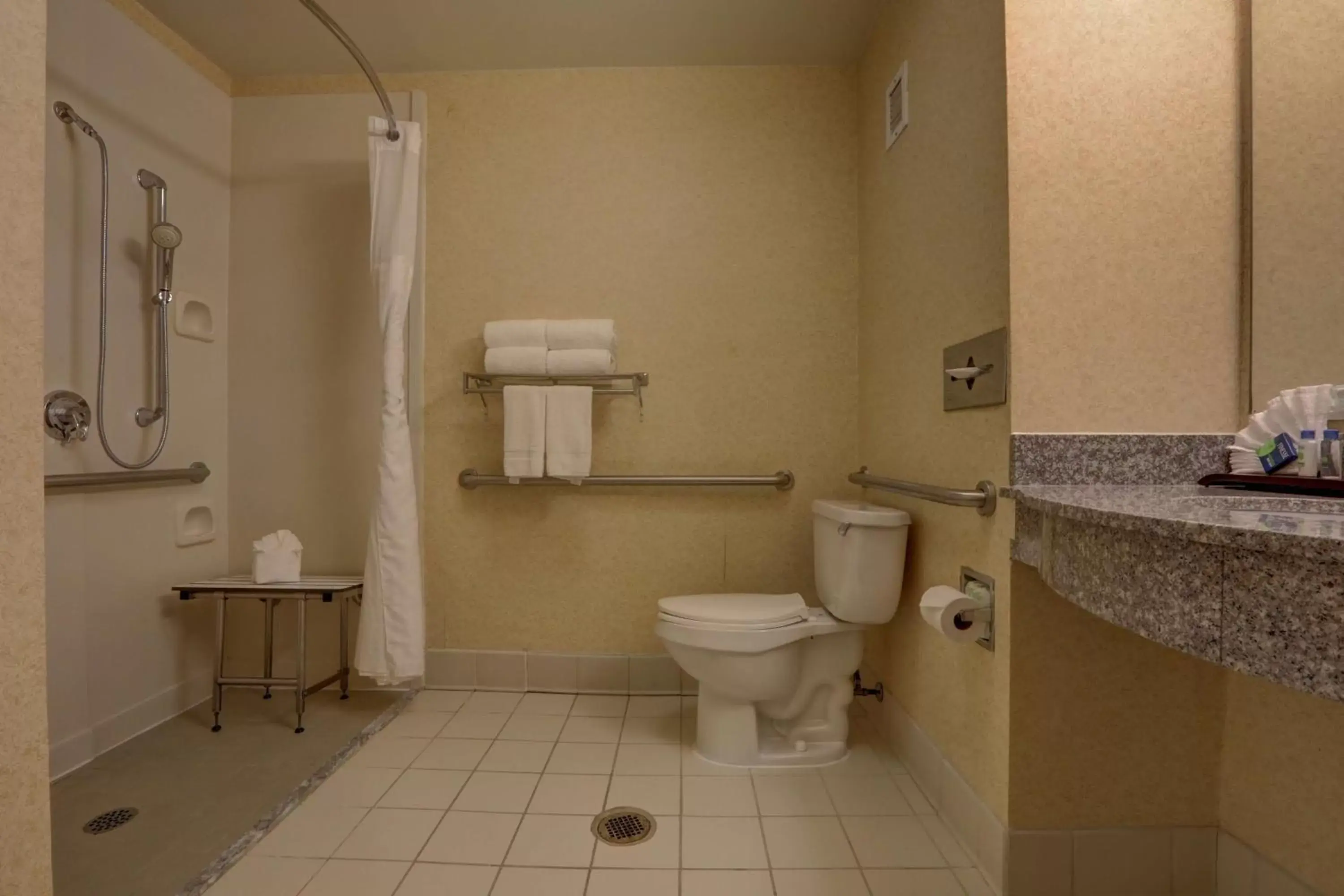 Bathroom in SureStay Plus Hotel by Best Western Chicago Lombard