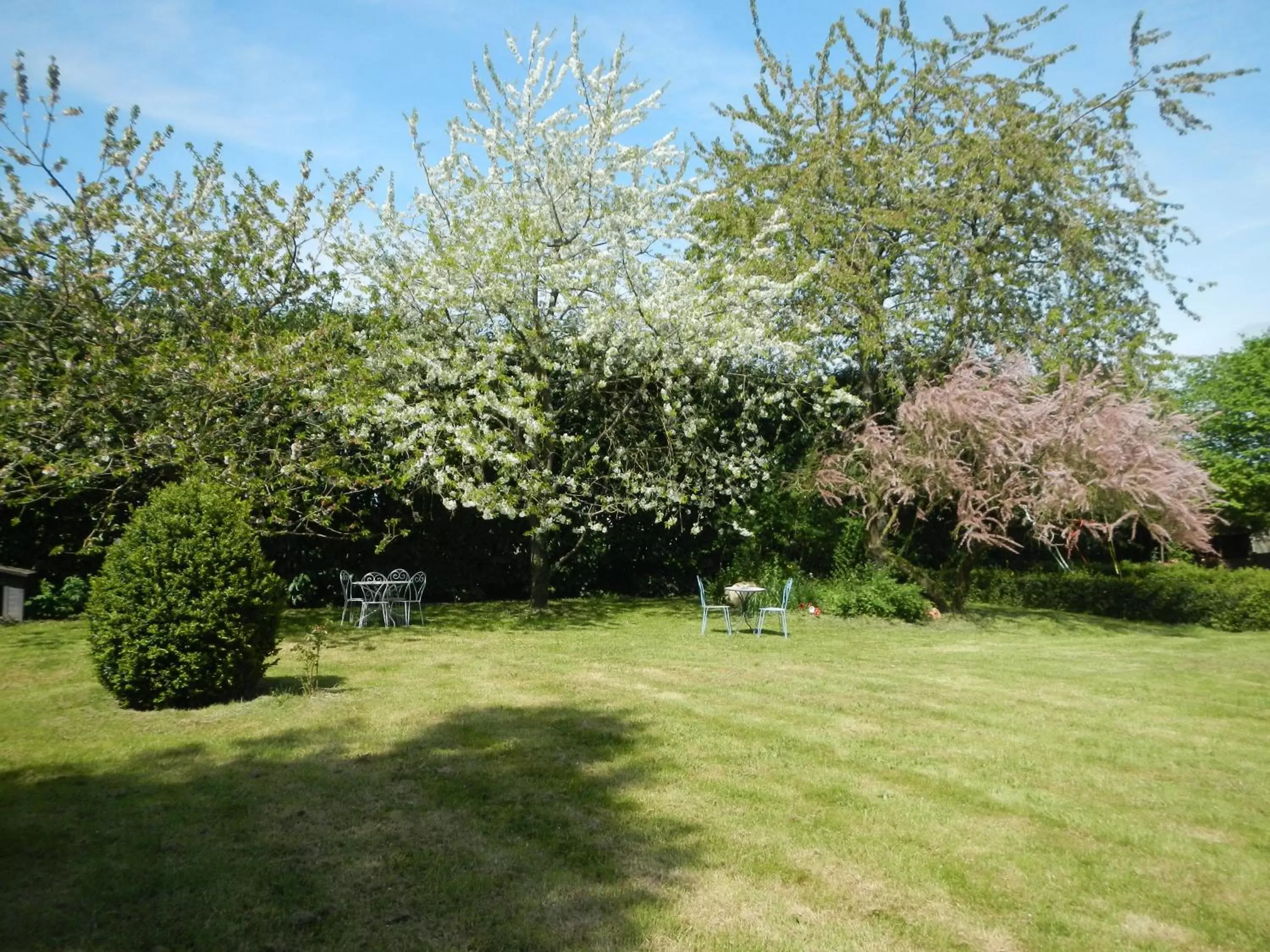 Garden in Le Presbytère de Saint Malon