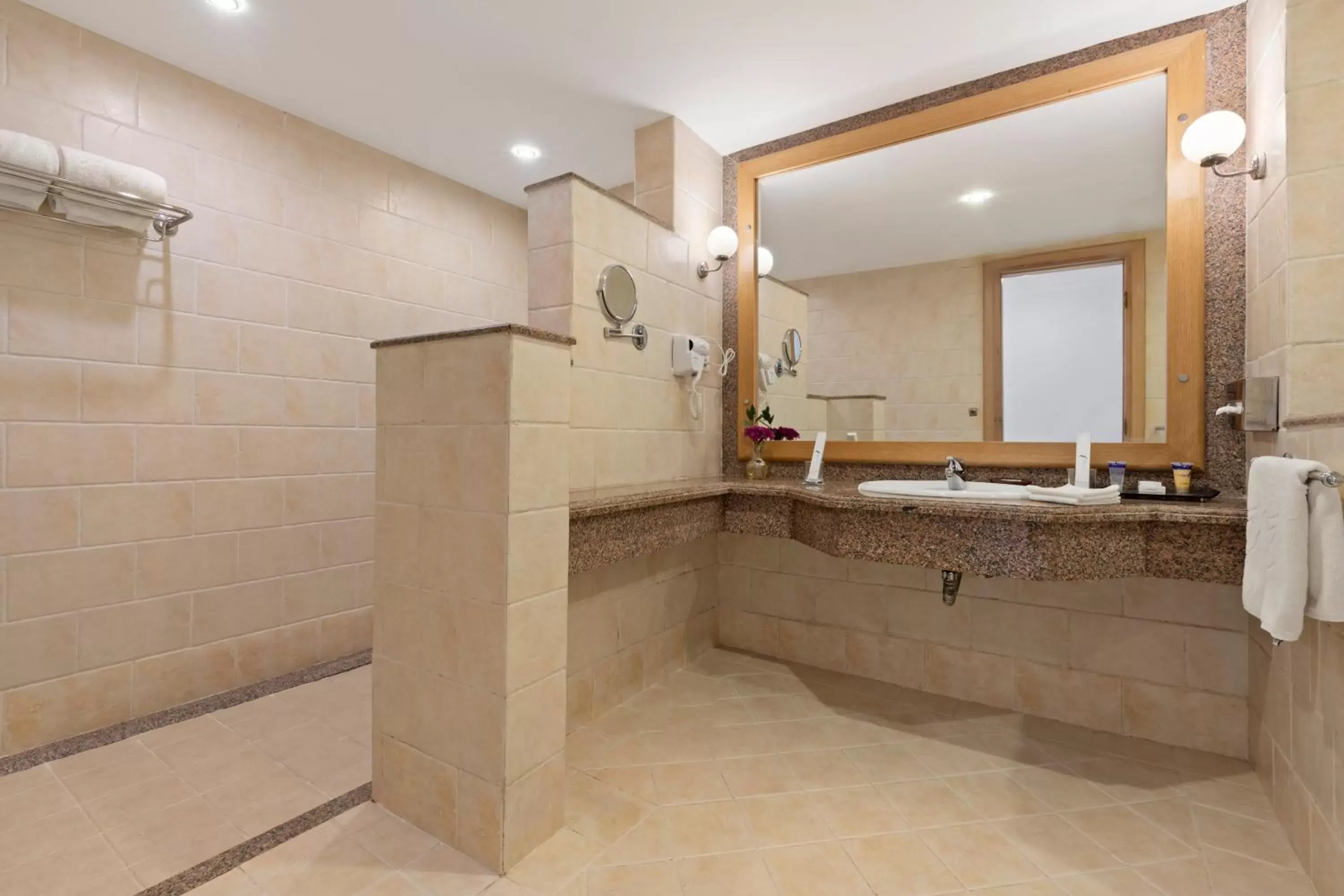 Shower, Bathroom in Pickalbatros Dana Beach Resort - Hurghada