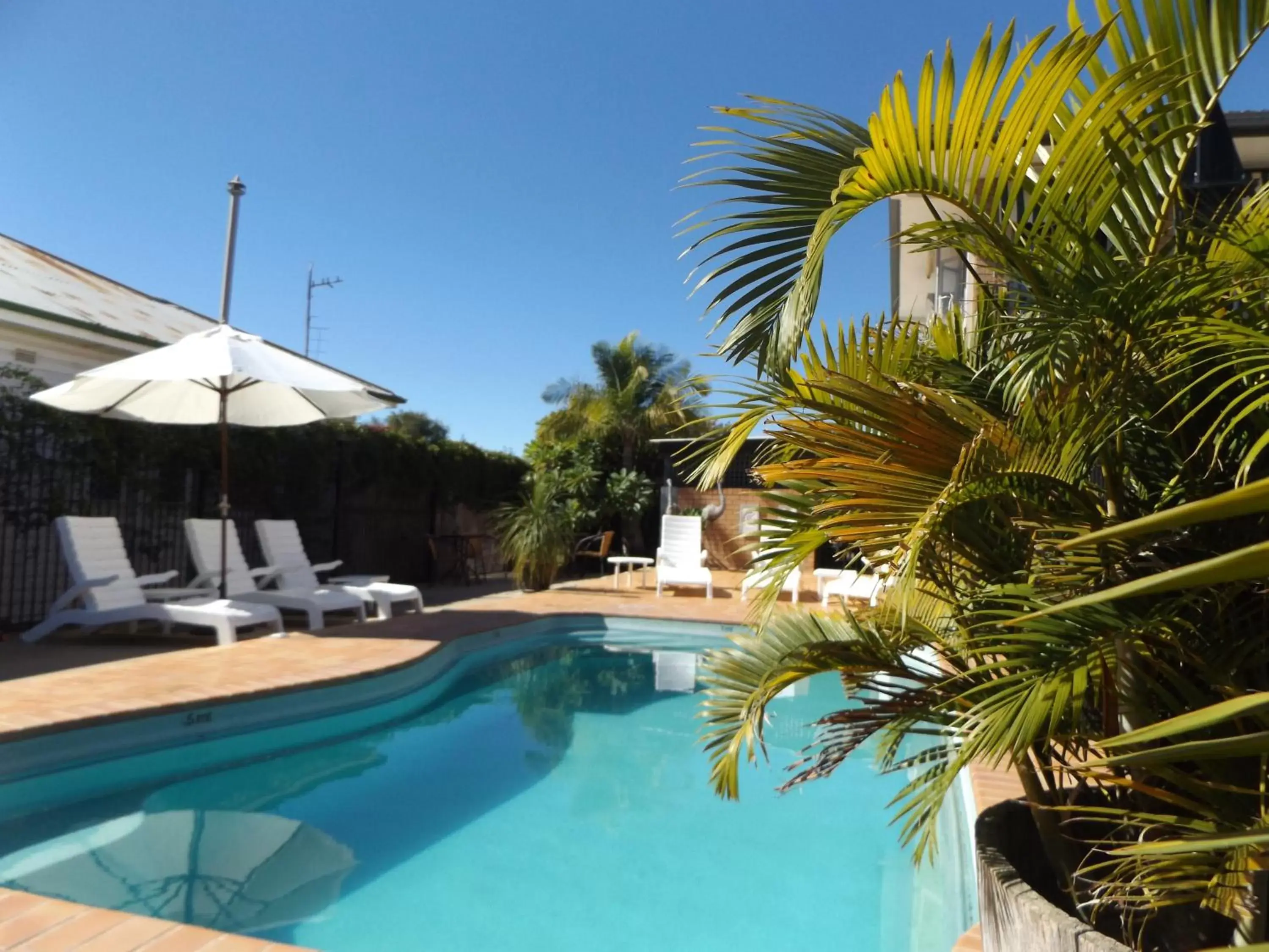 Pool view, Swimming Pool in Golden Harvest Motor Inn Moree