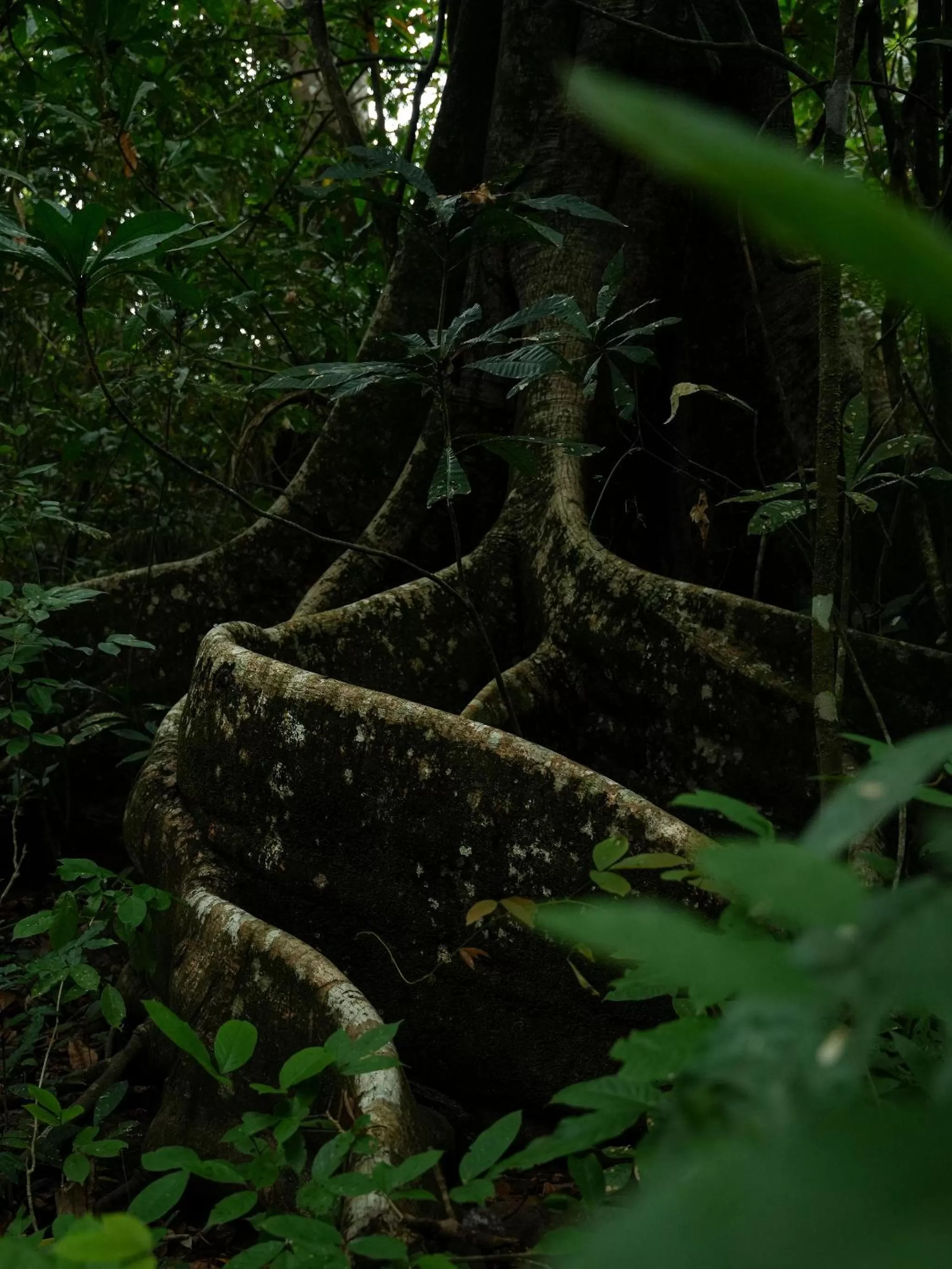 Property building in Saboga Lodge