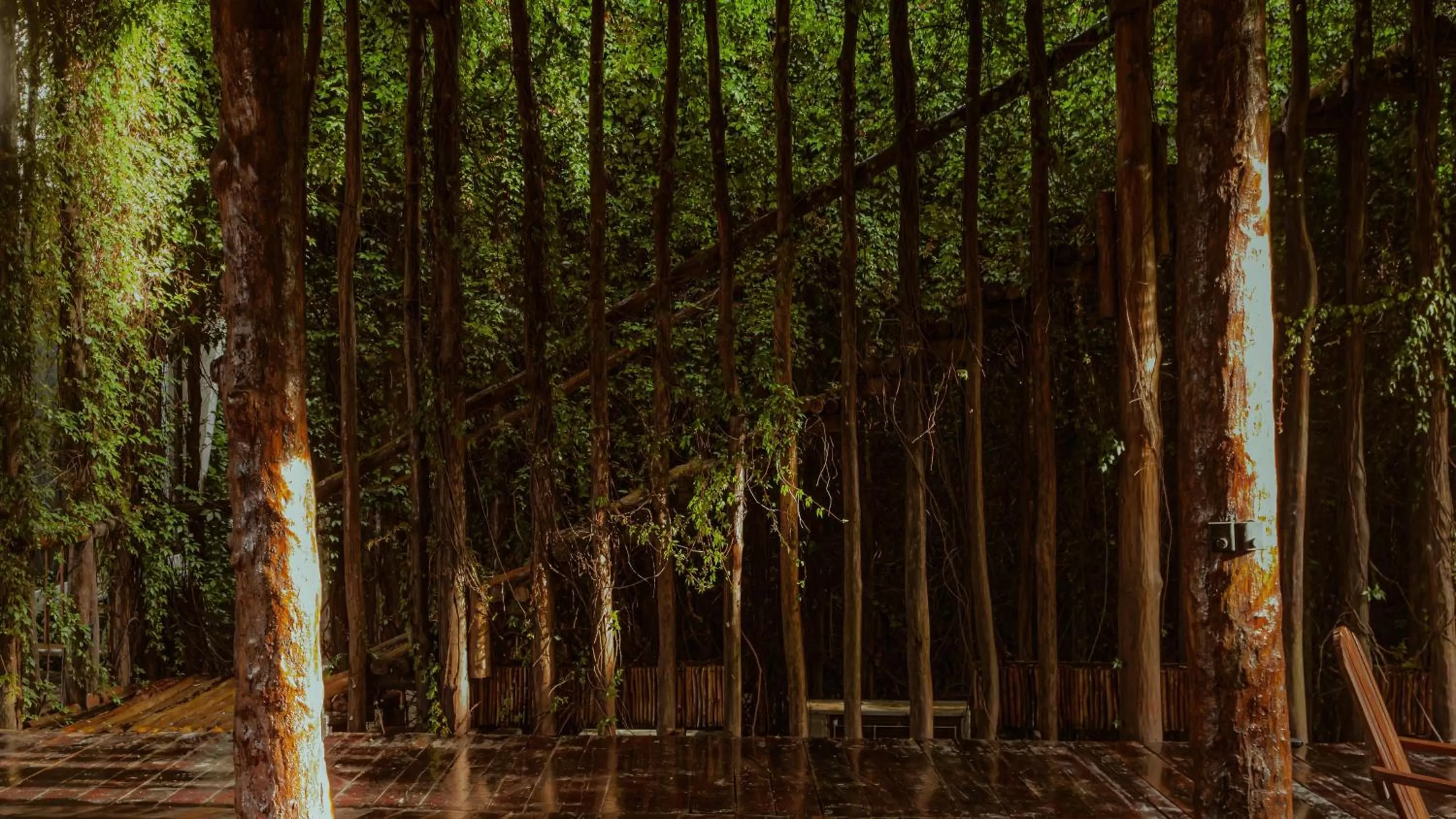 Property building in Casa Teka