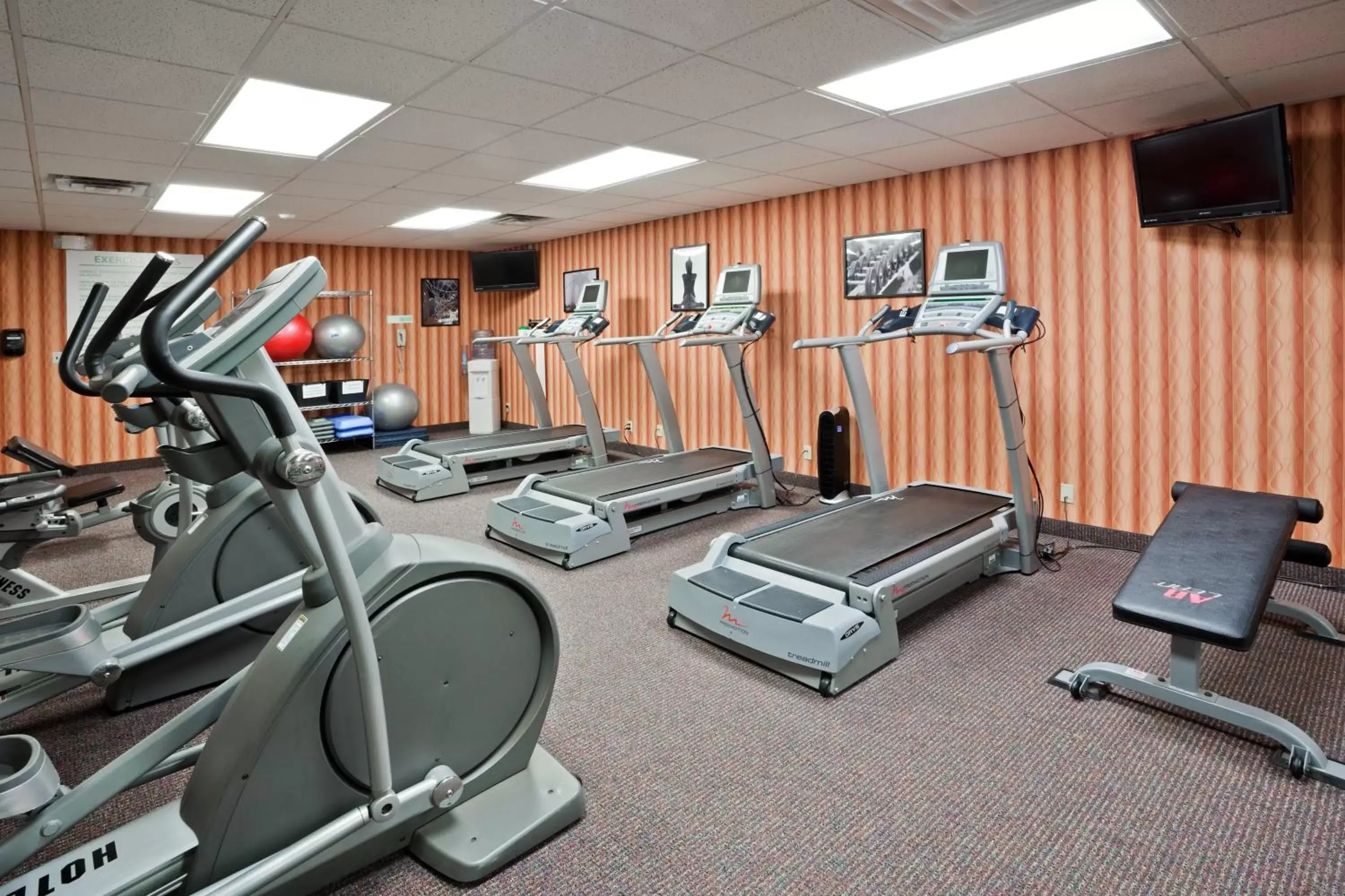 Spa and wellness centre/facilities, Fitness Center/Facilities in Holiday Inn Sioux Falls-City Center, an IHG Hotel