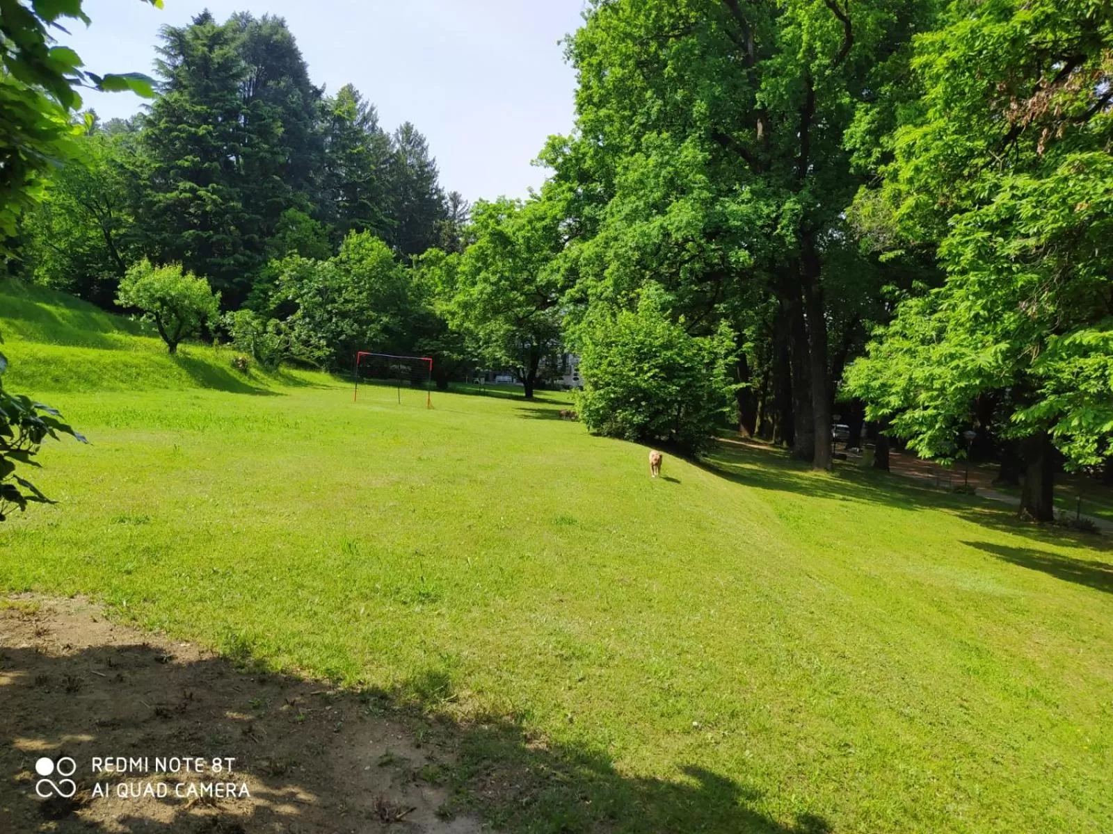 Natural landscape in "La Selvetta" bed and breakfast