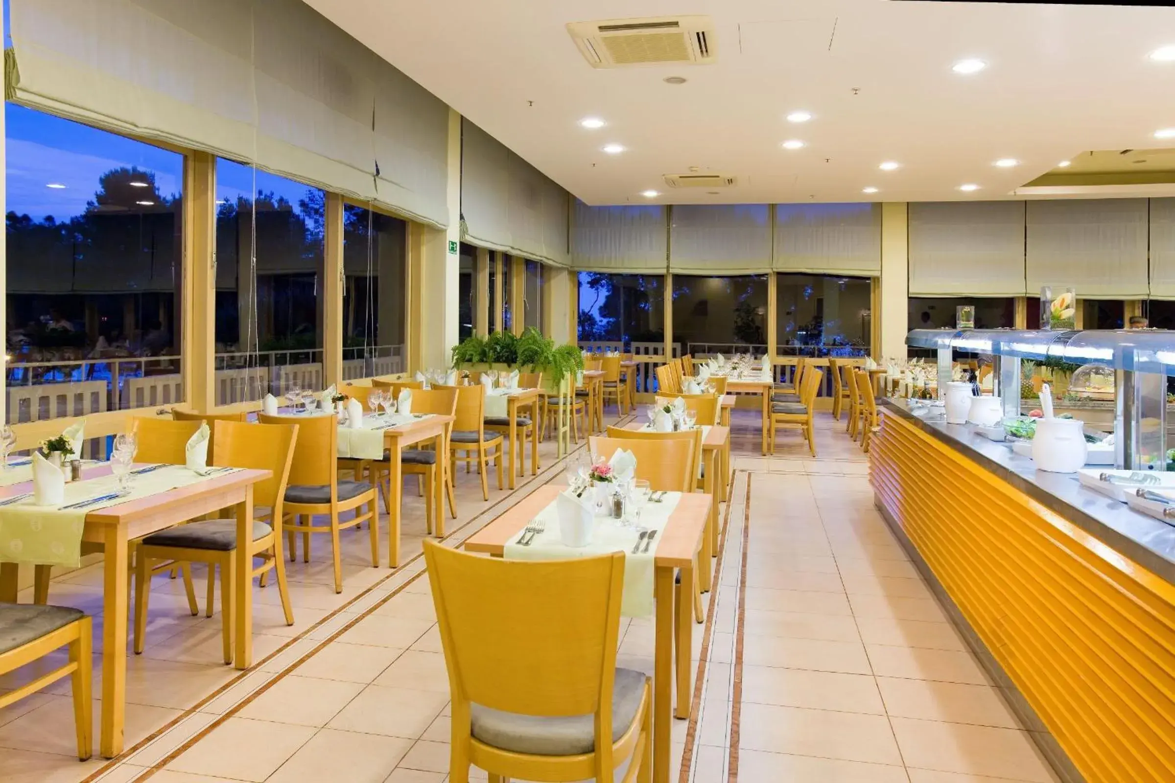 Restaurant/Places to Eat in Hotel Aurora Plava Laguna