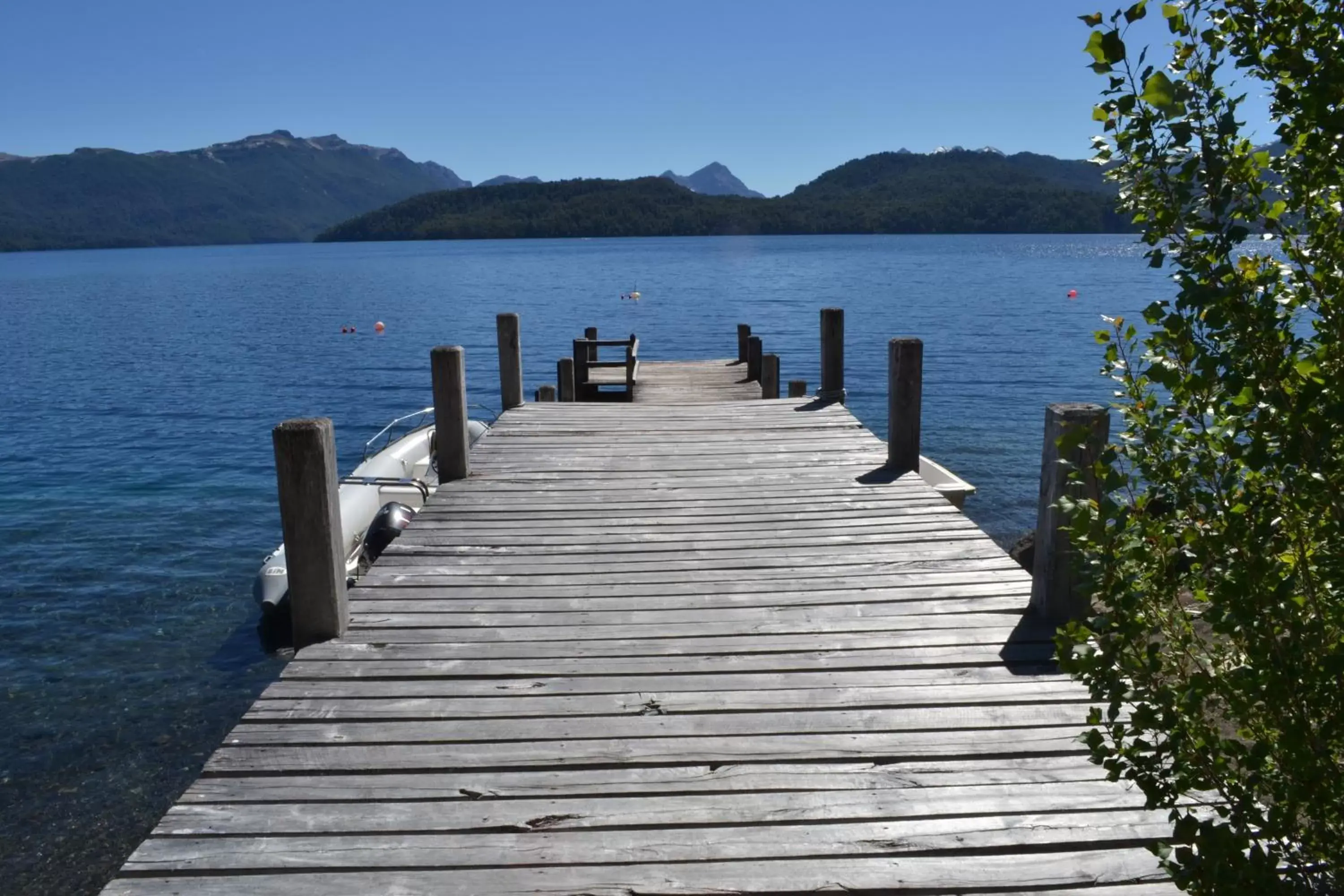 Natural landscape in Correntoso Lake & River Hotel