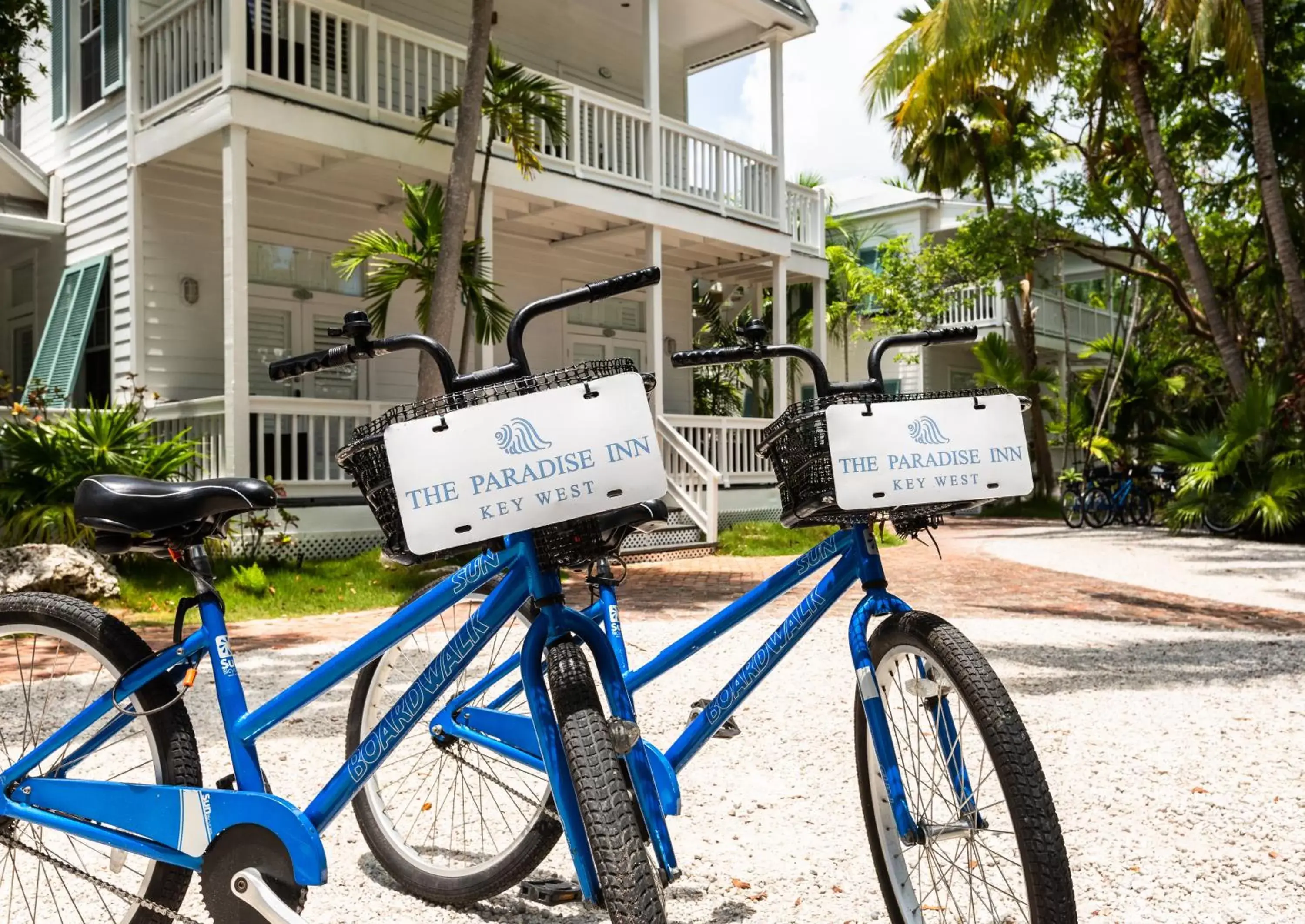 Cycling in Paradise Inn - Adult Exclusive