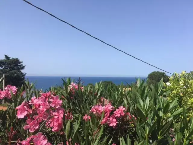 Sea View in Stanza in Villa con giardino vista mare