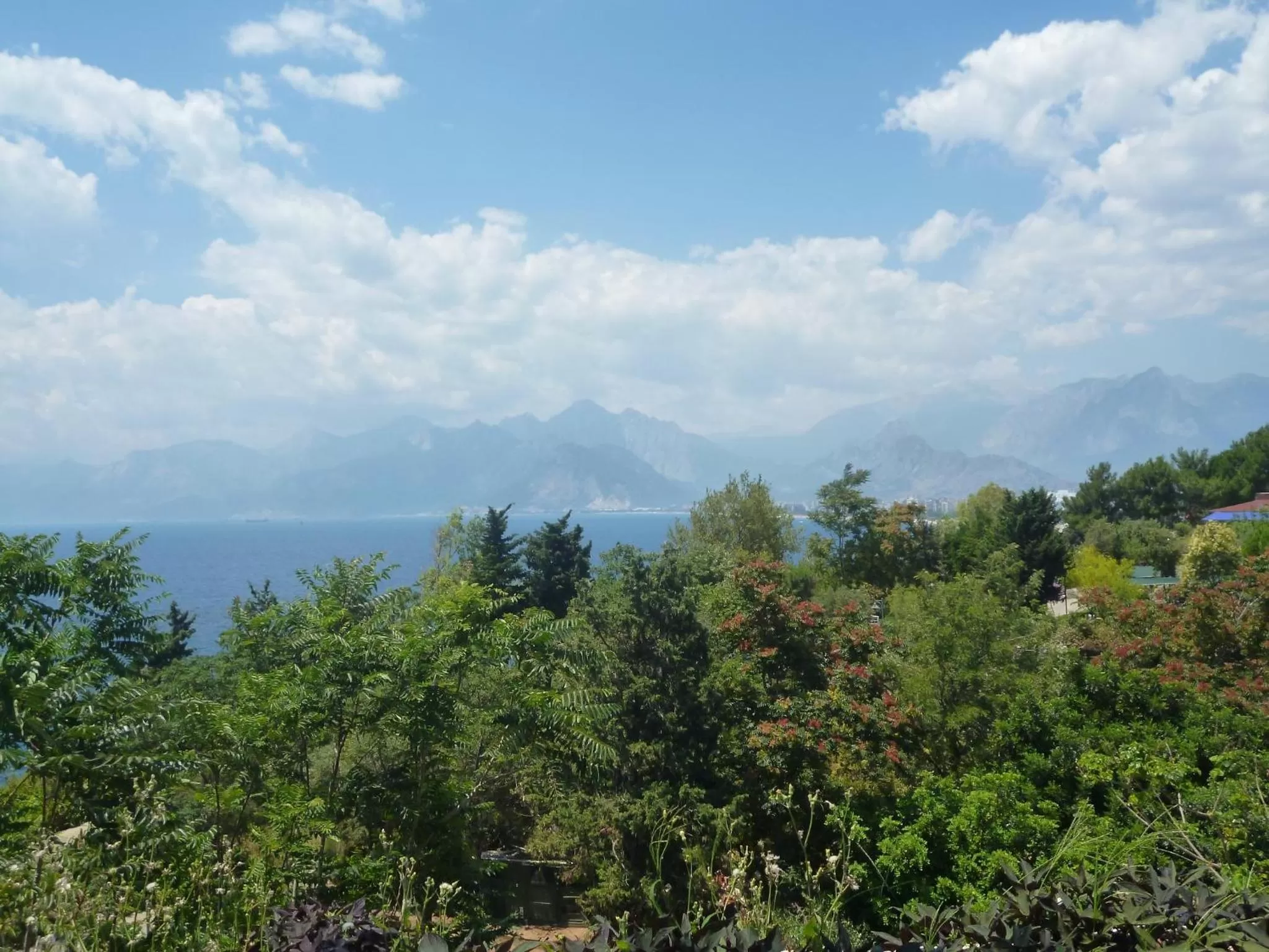 View (from property/room) in Frankfurt Hotel