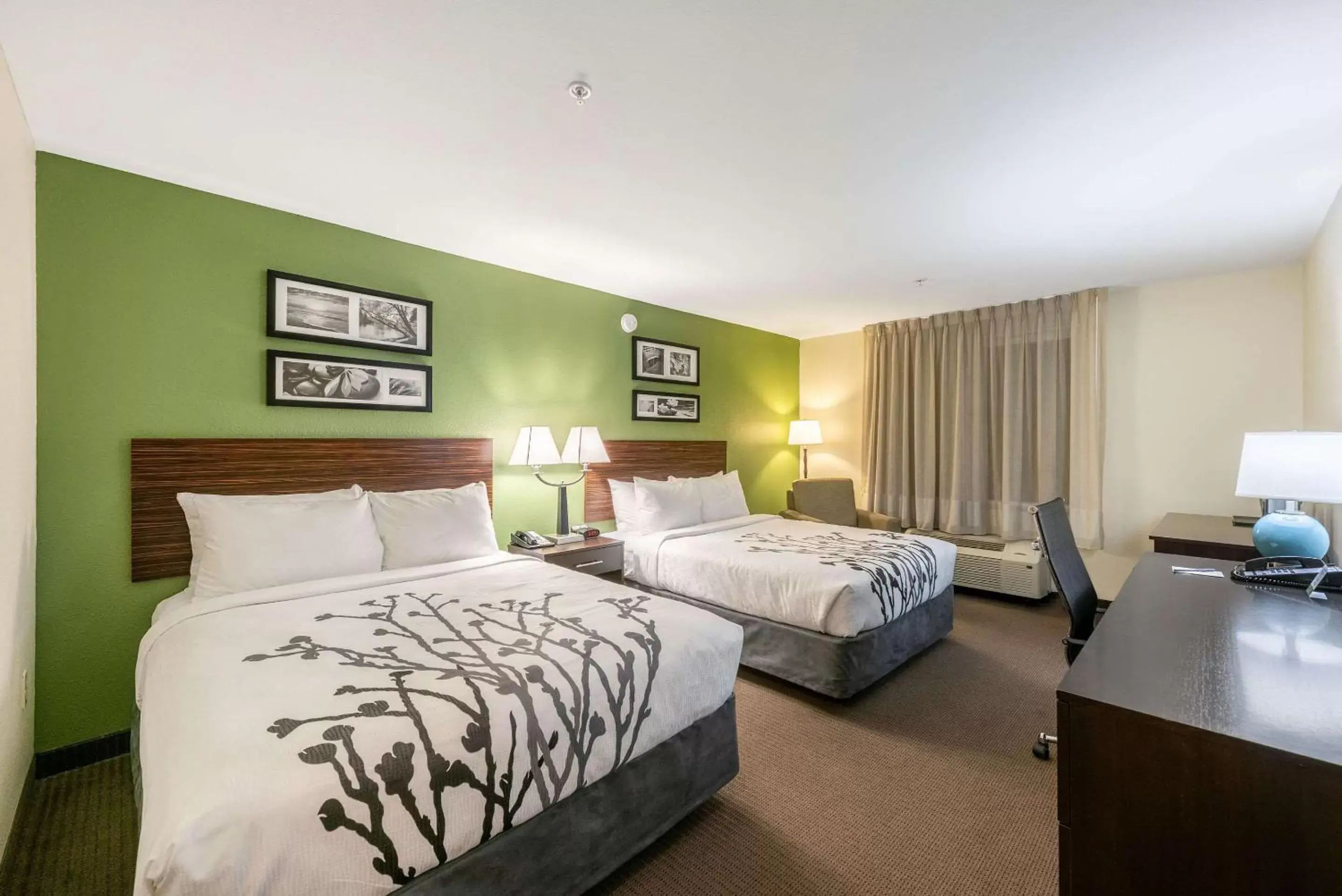 Photo of the whole room, Bed in Sleep Inn & Suites Ruston Near University