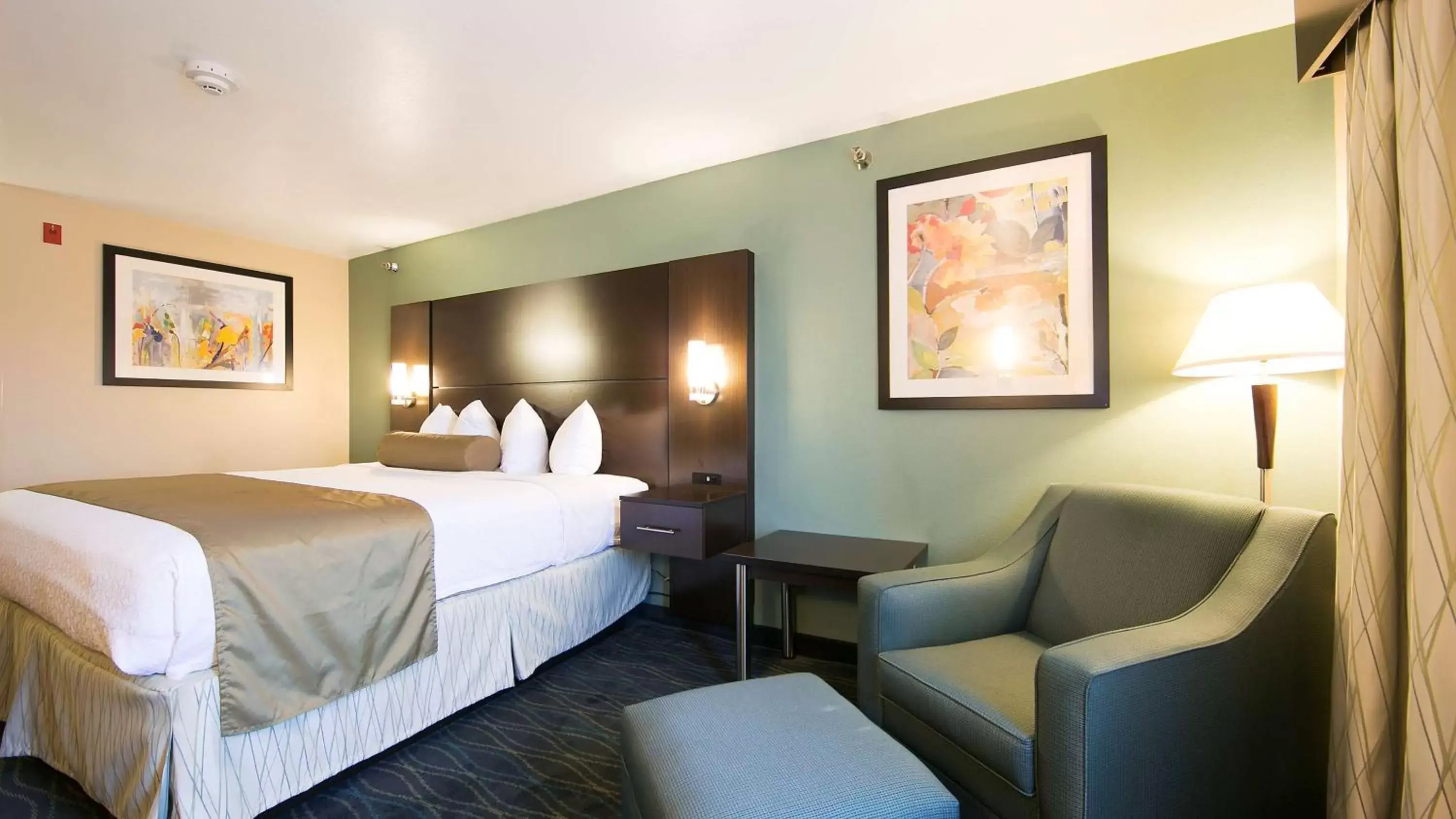 King Room with Roll-In Shower - Disability Access in Best Western PLUS University Inn Marion