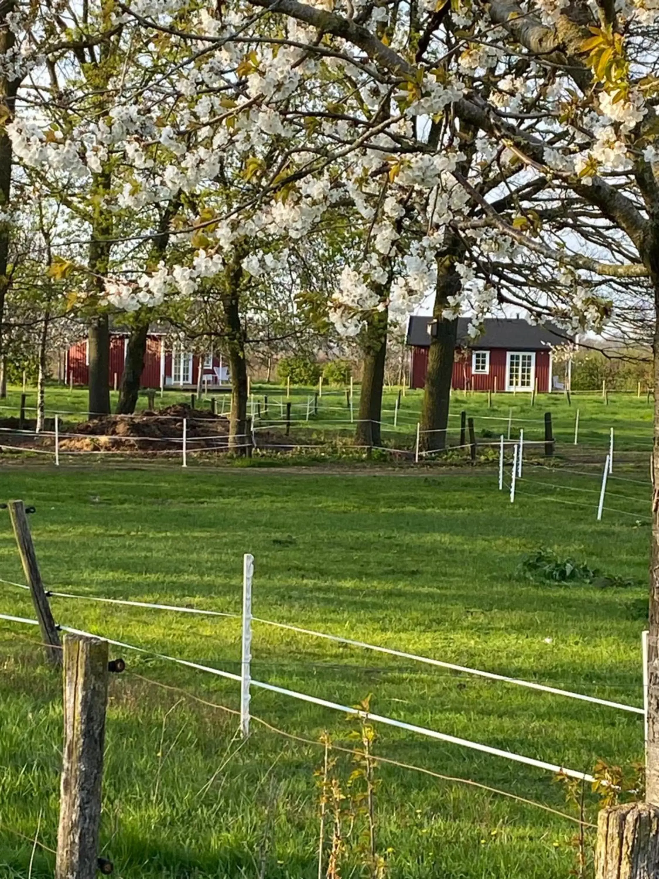 Property building, Garden in De Heeren Hoeve Carpe Diem