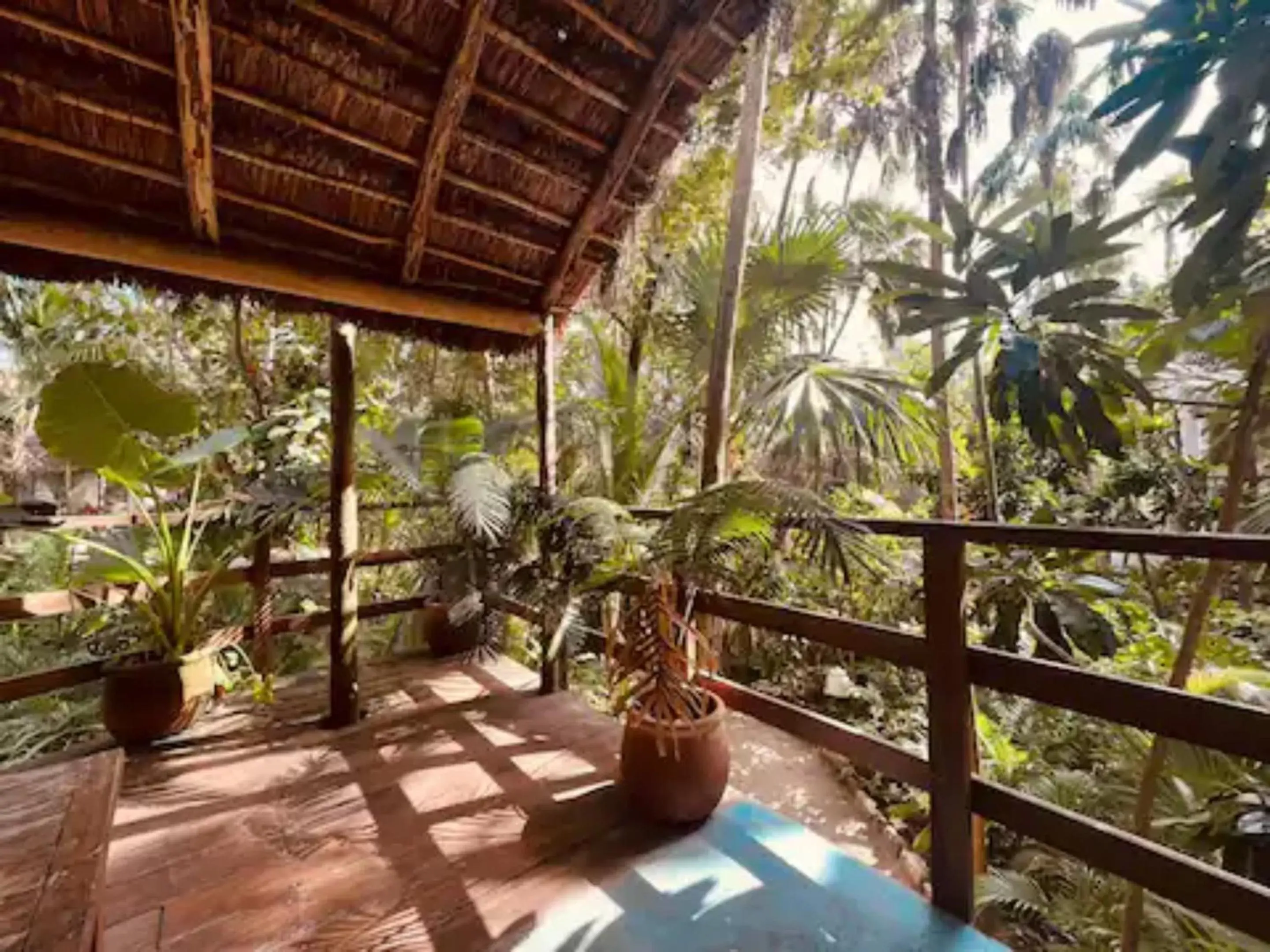 Garden, Pool View in Dos Ceibas Tulum Feel Good Hotel