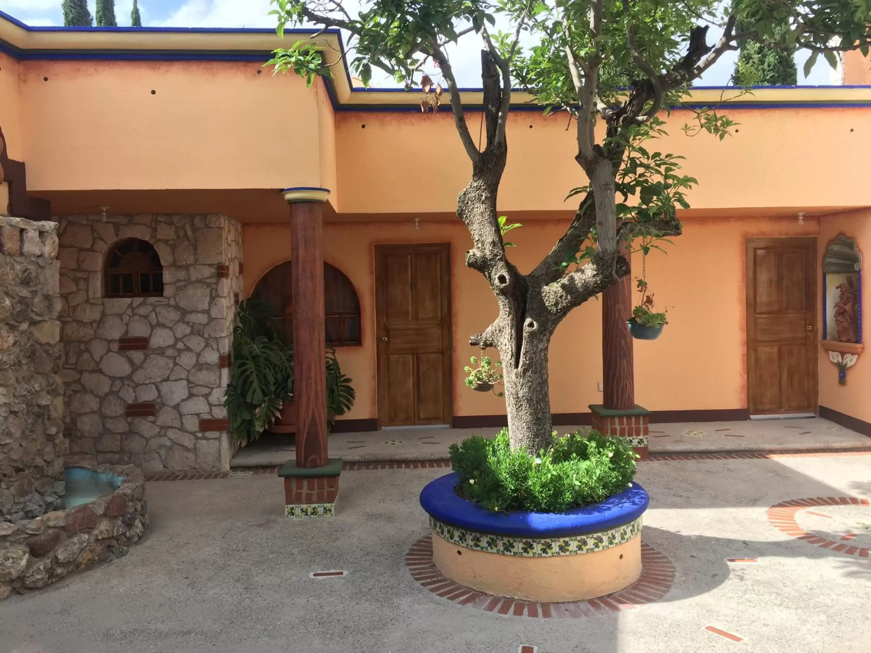 Garden, Patio/Outdoor Area in Hotel Feregrino