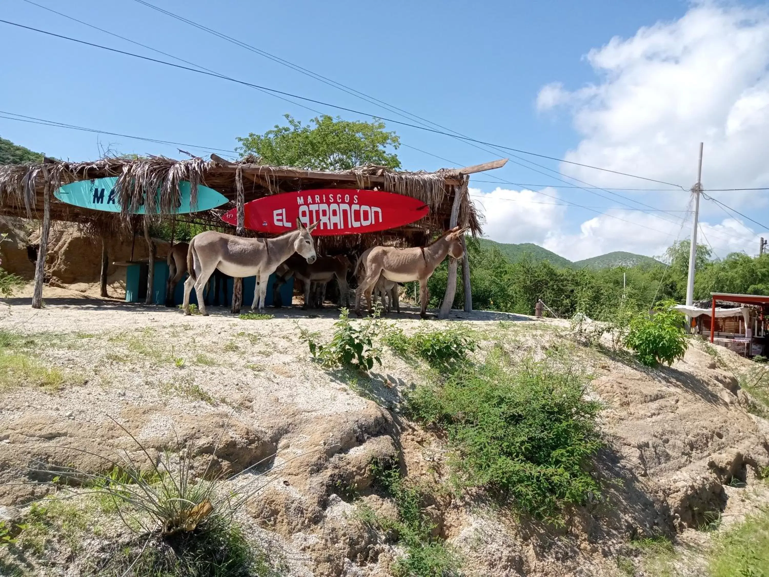 Property Building in Hacienda De Palmas